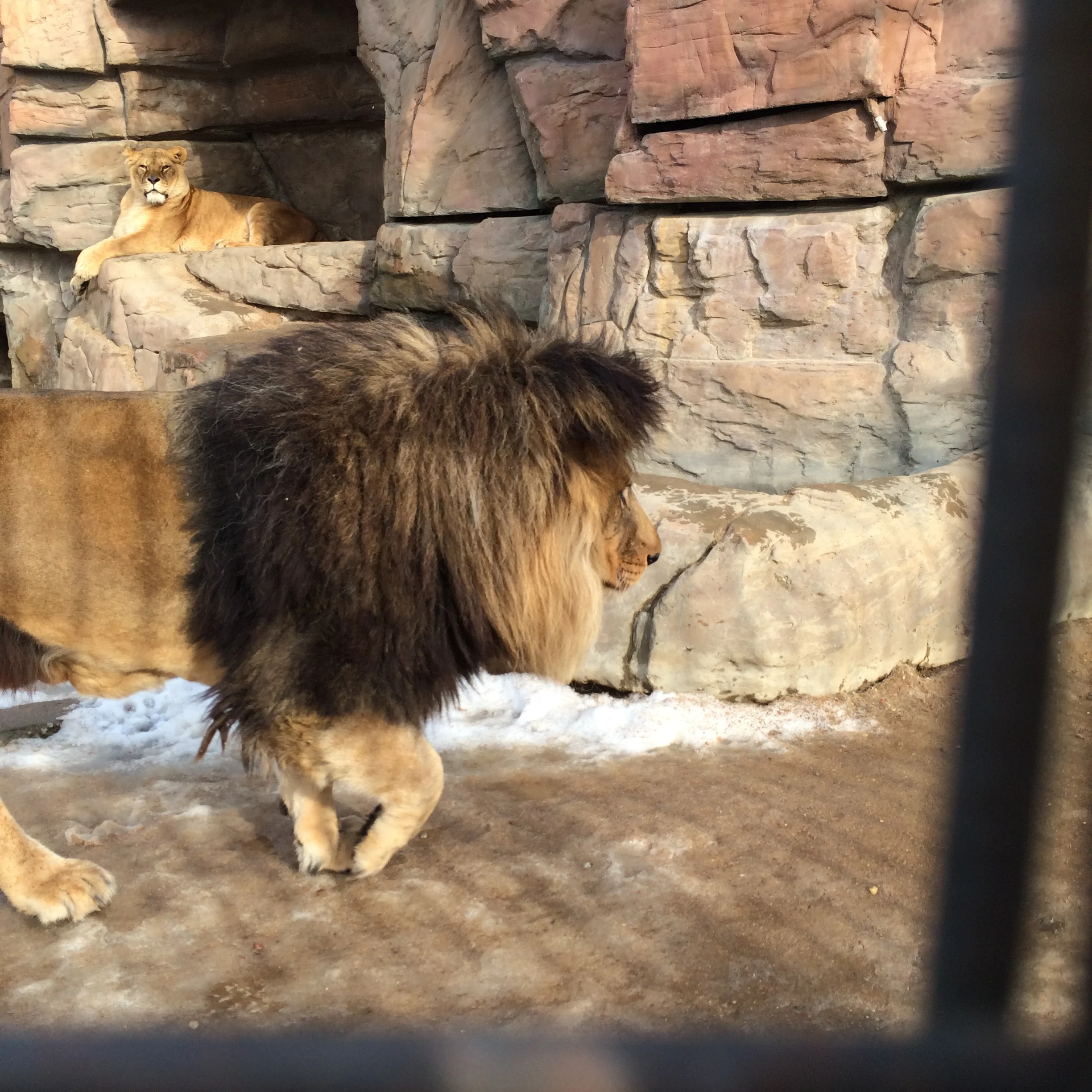 2015-02-21 14.40.55.webp