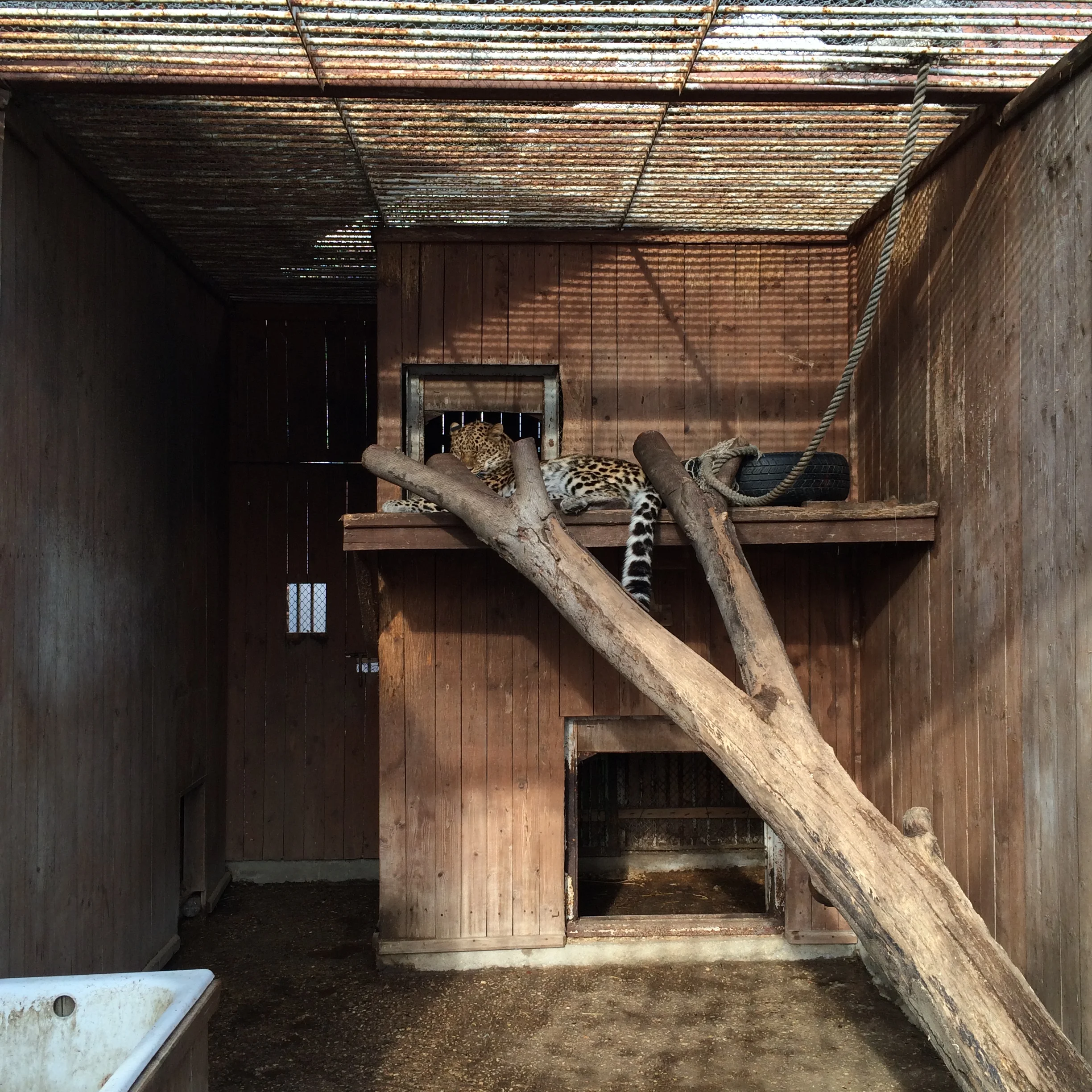 2015-02-21 14.44.50.webp