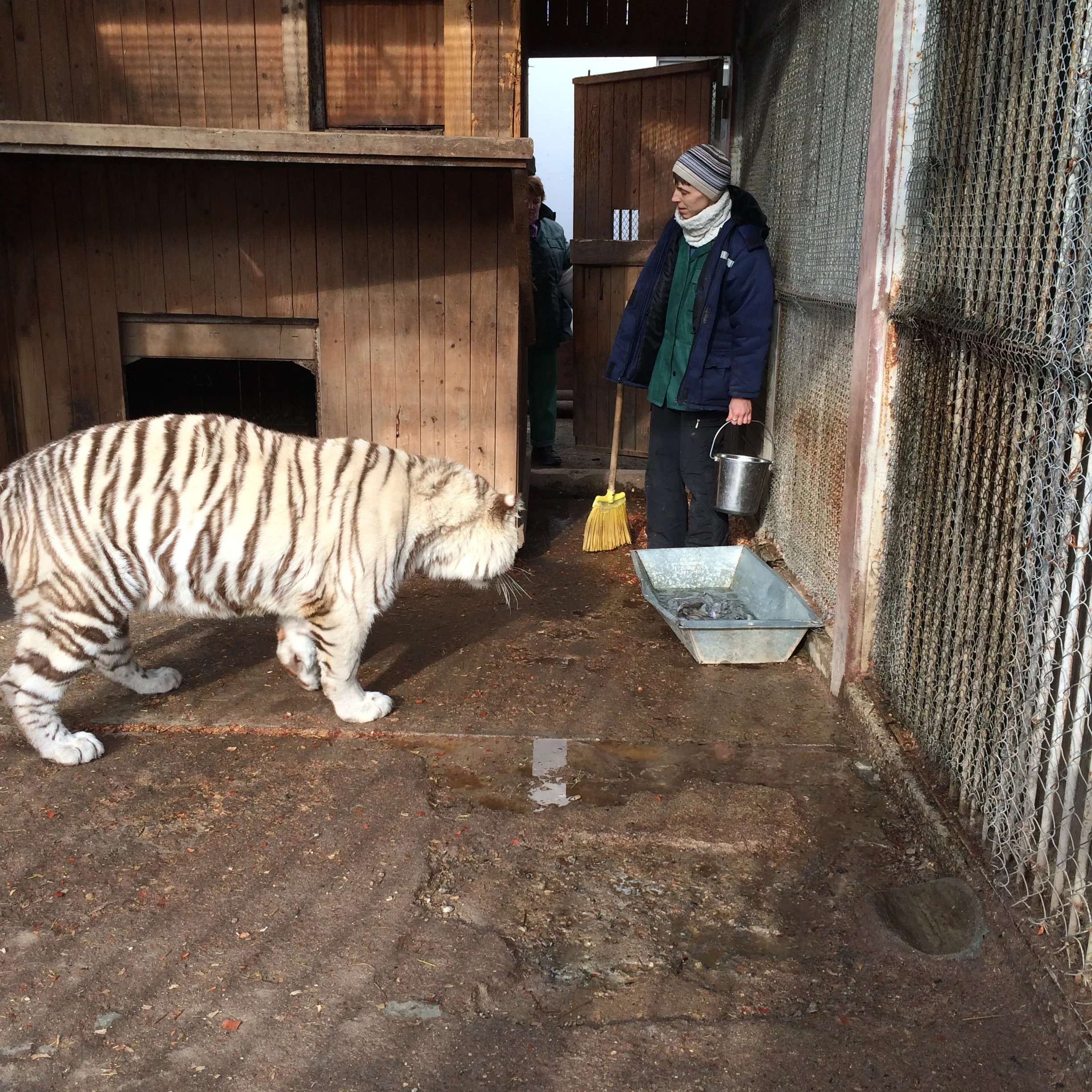 2015-02-21 14.46.32.webp