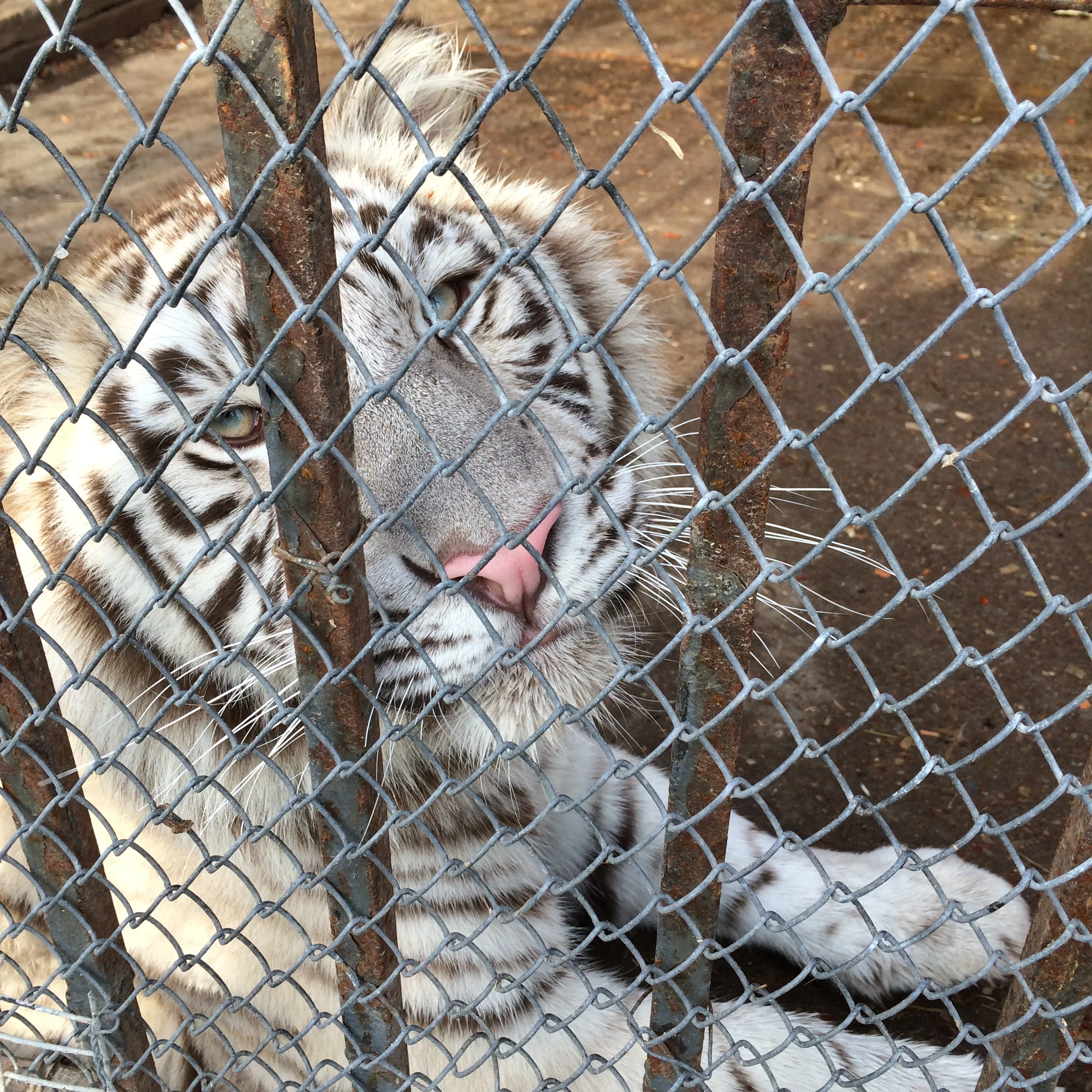 2015-02-21 14.57.20.webp