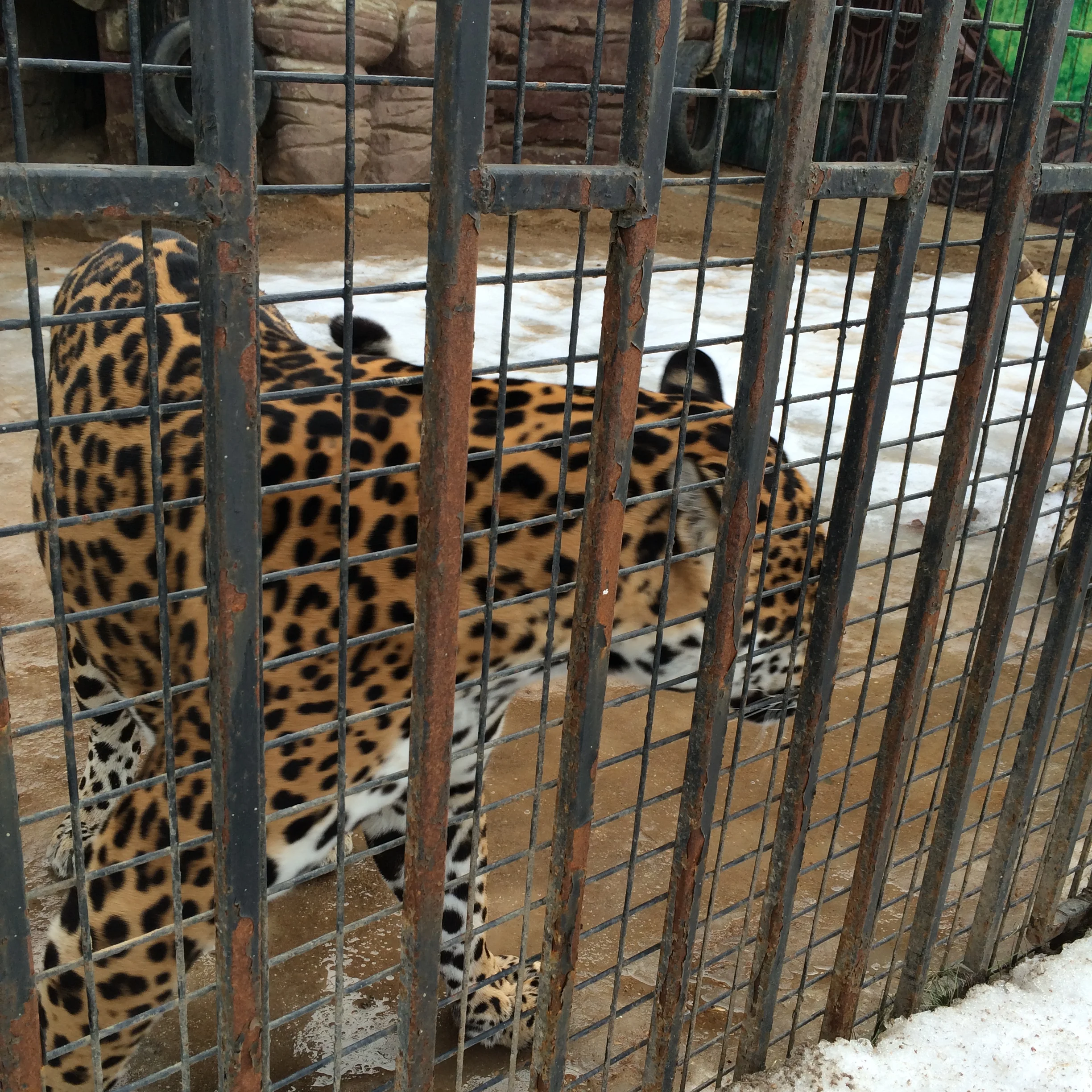 2015-02-21 15.07.55.webp