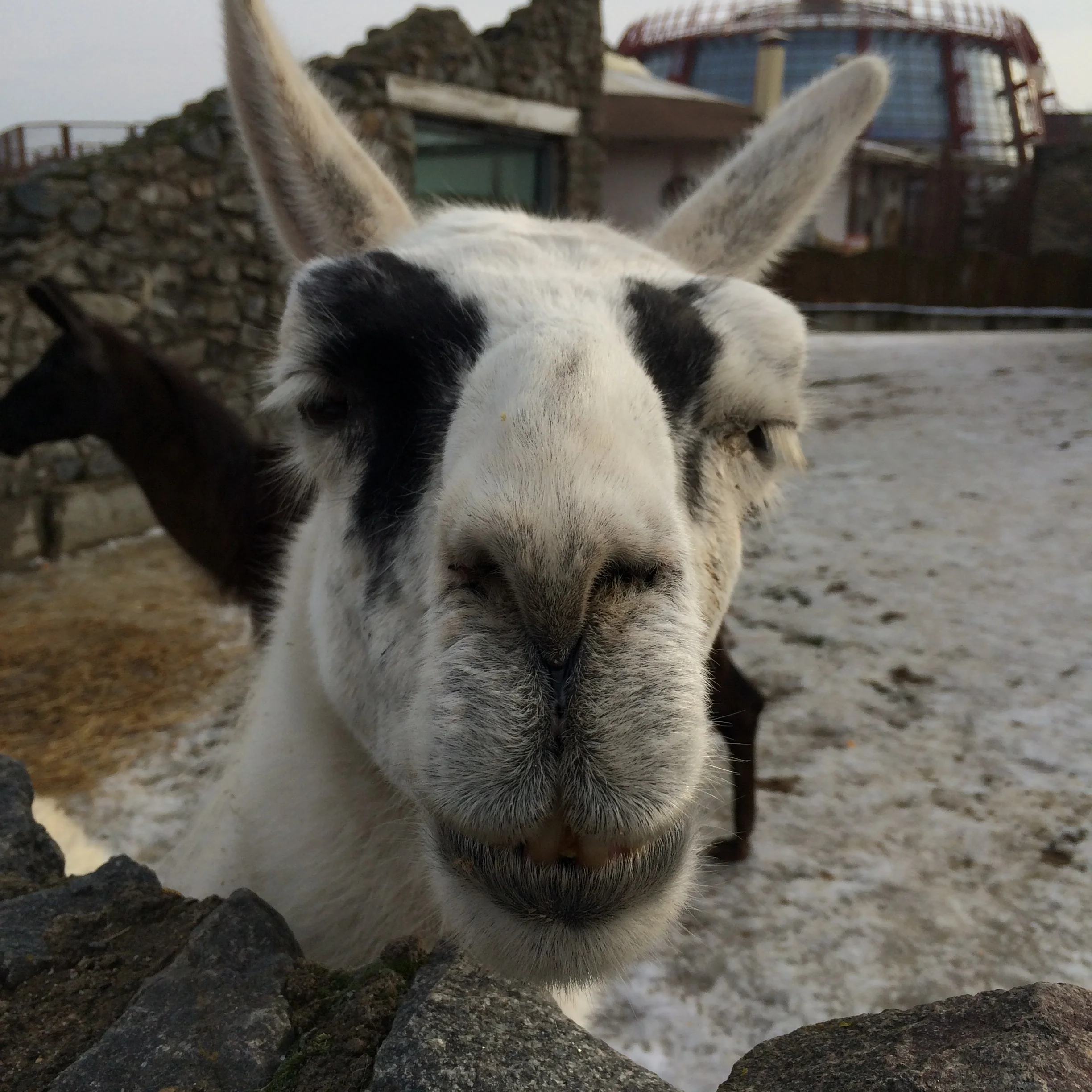 2015-02-21 15.37.40.webp