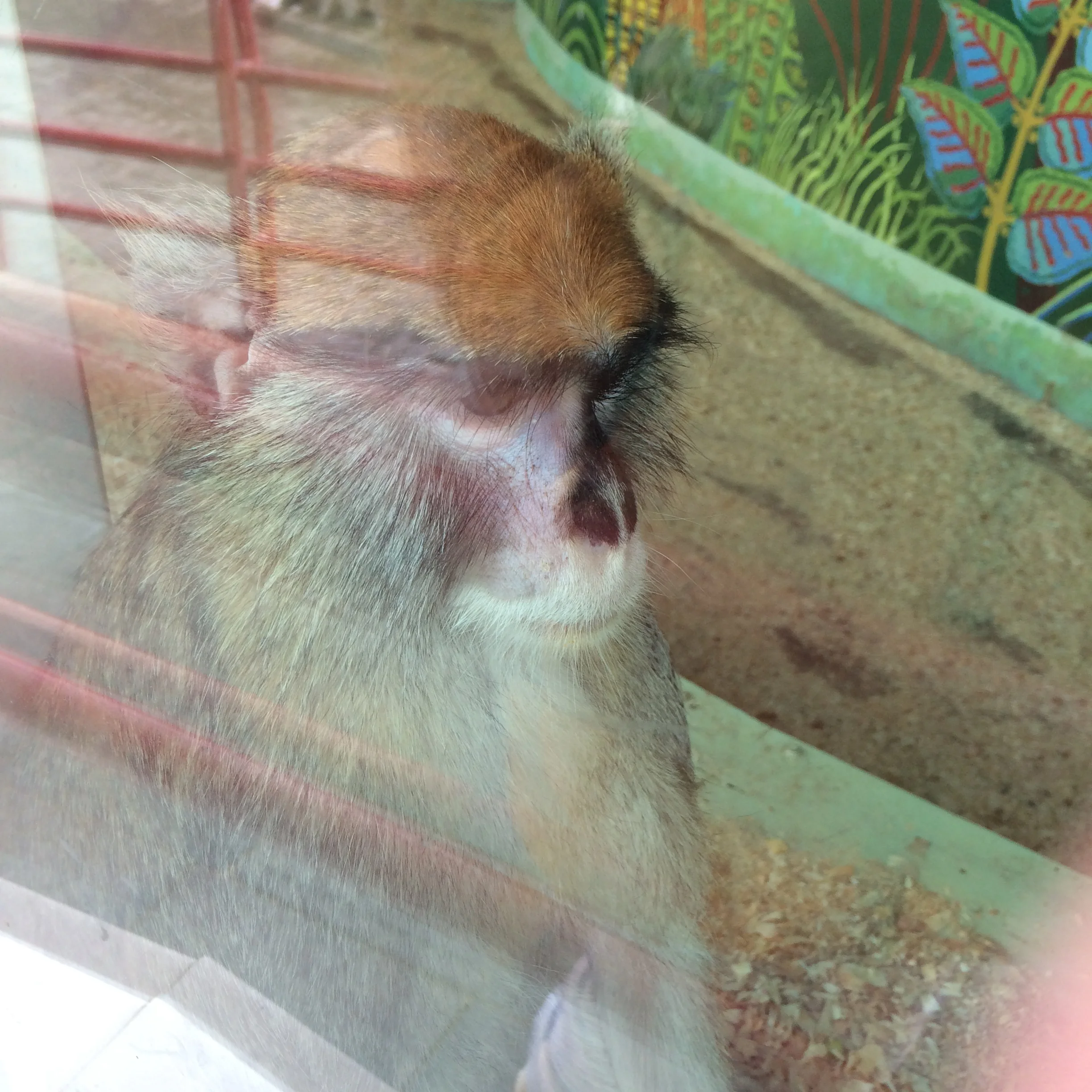 2015-02-21 15.52.01.webp