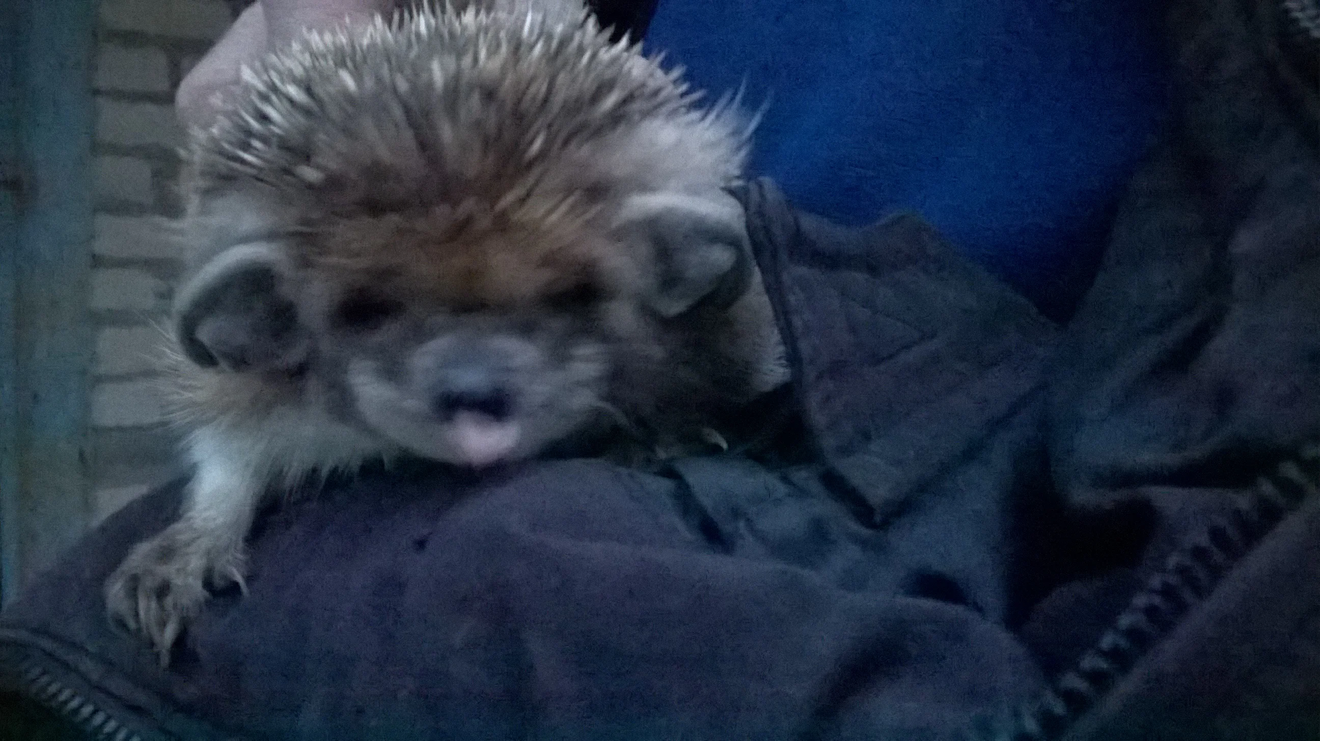 2015-04-23 19-00-12.webp