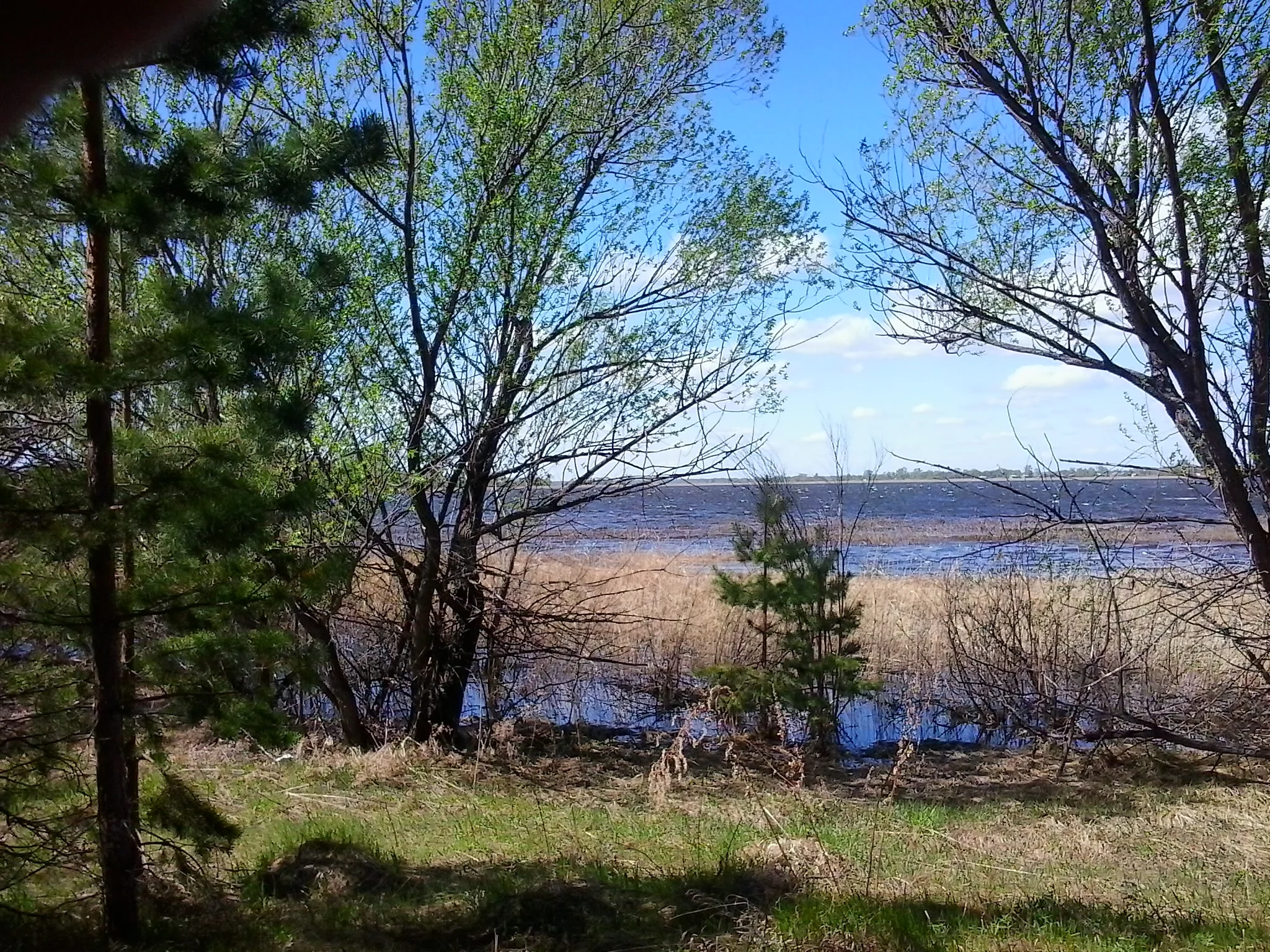 2015-05-10 11.10.45.webp