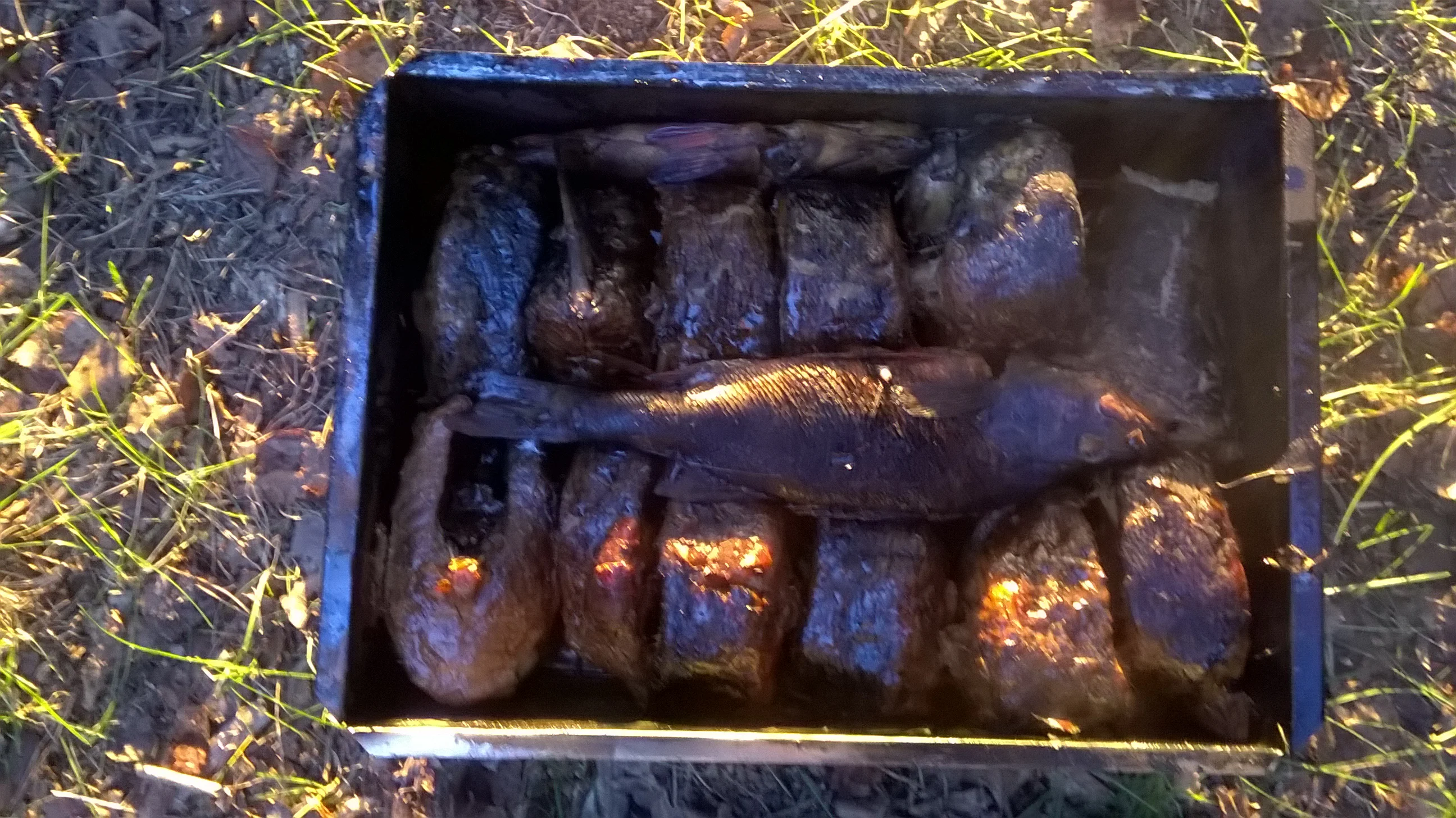 2015-06-25 22-32-17.webp