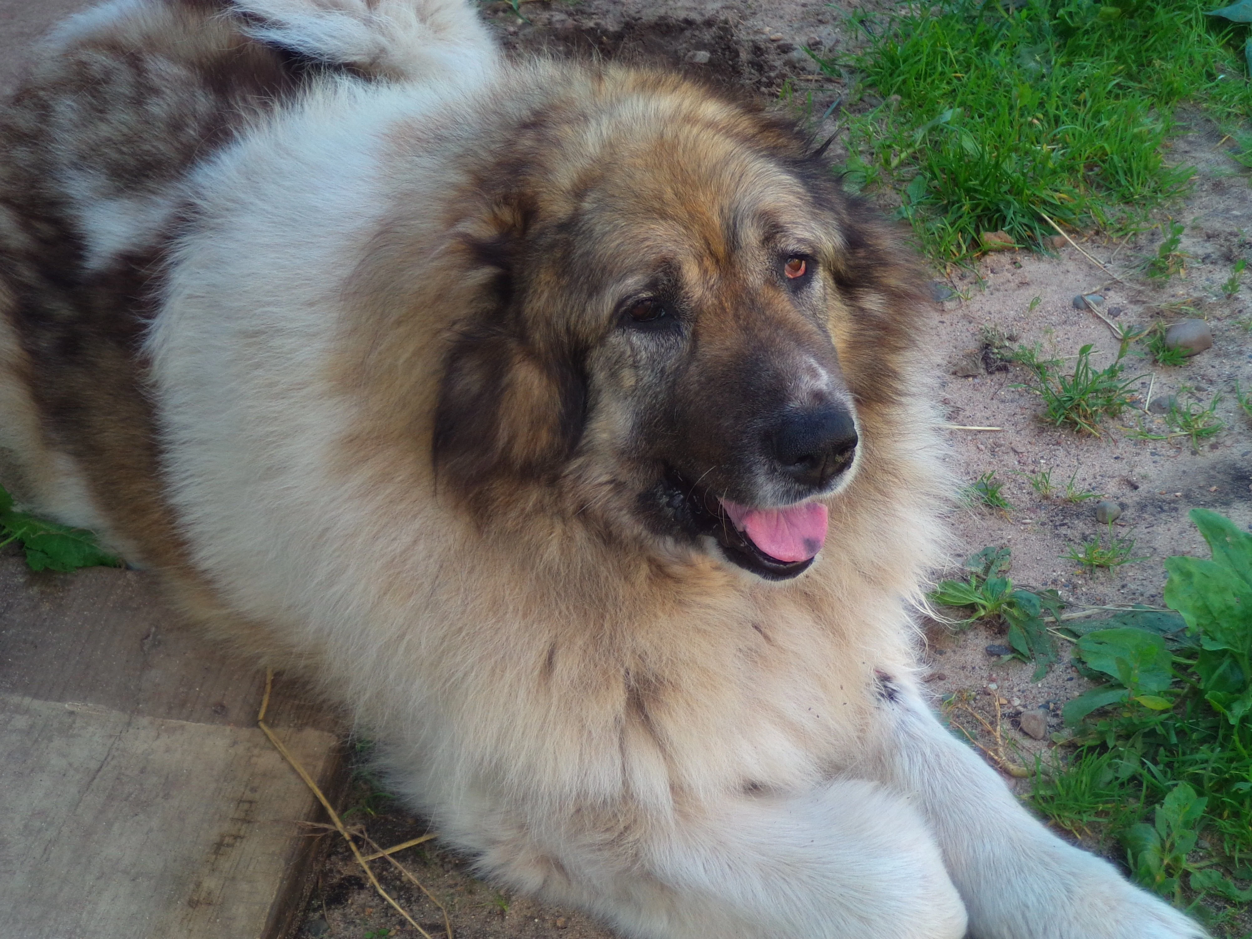 2015-07-02 09-23-42.webp