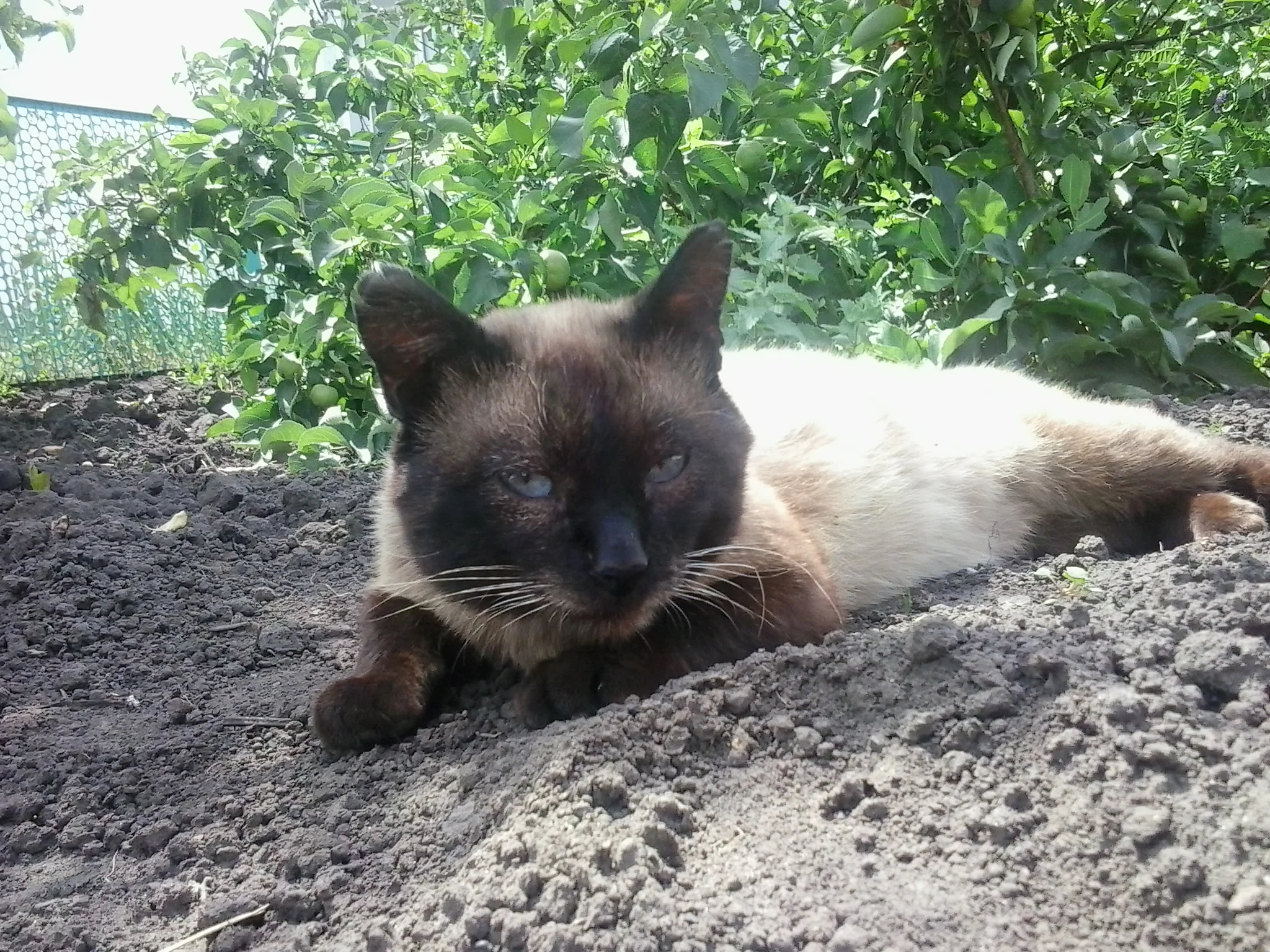 2015-07-07 12.48.38.webp