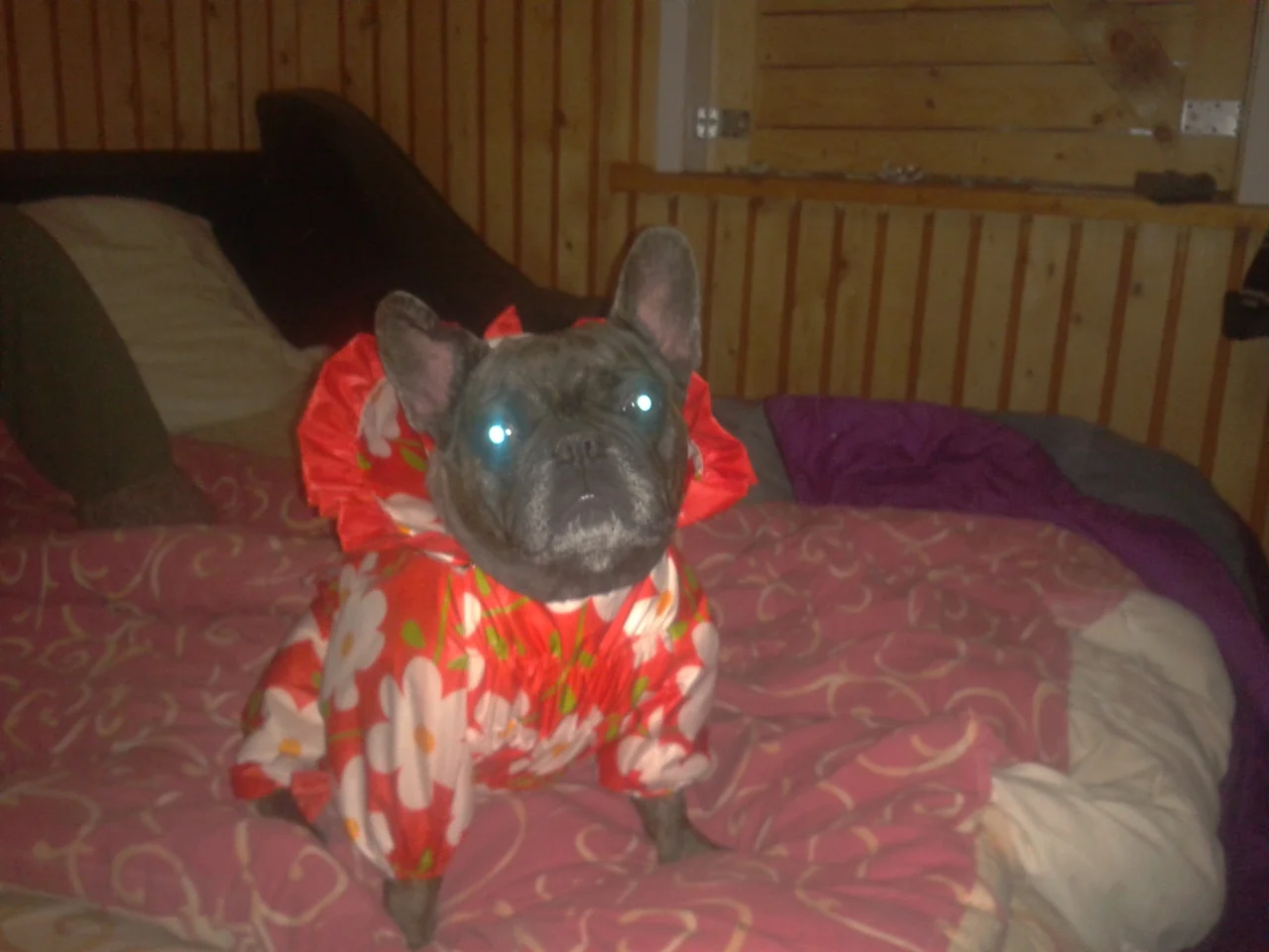 2015-07-20 23.00.05.webp