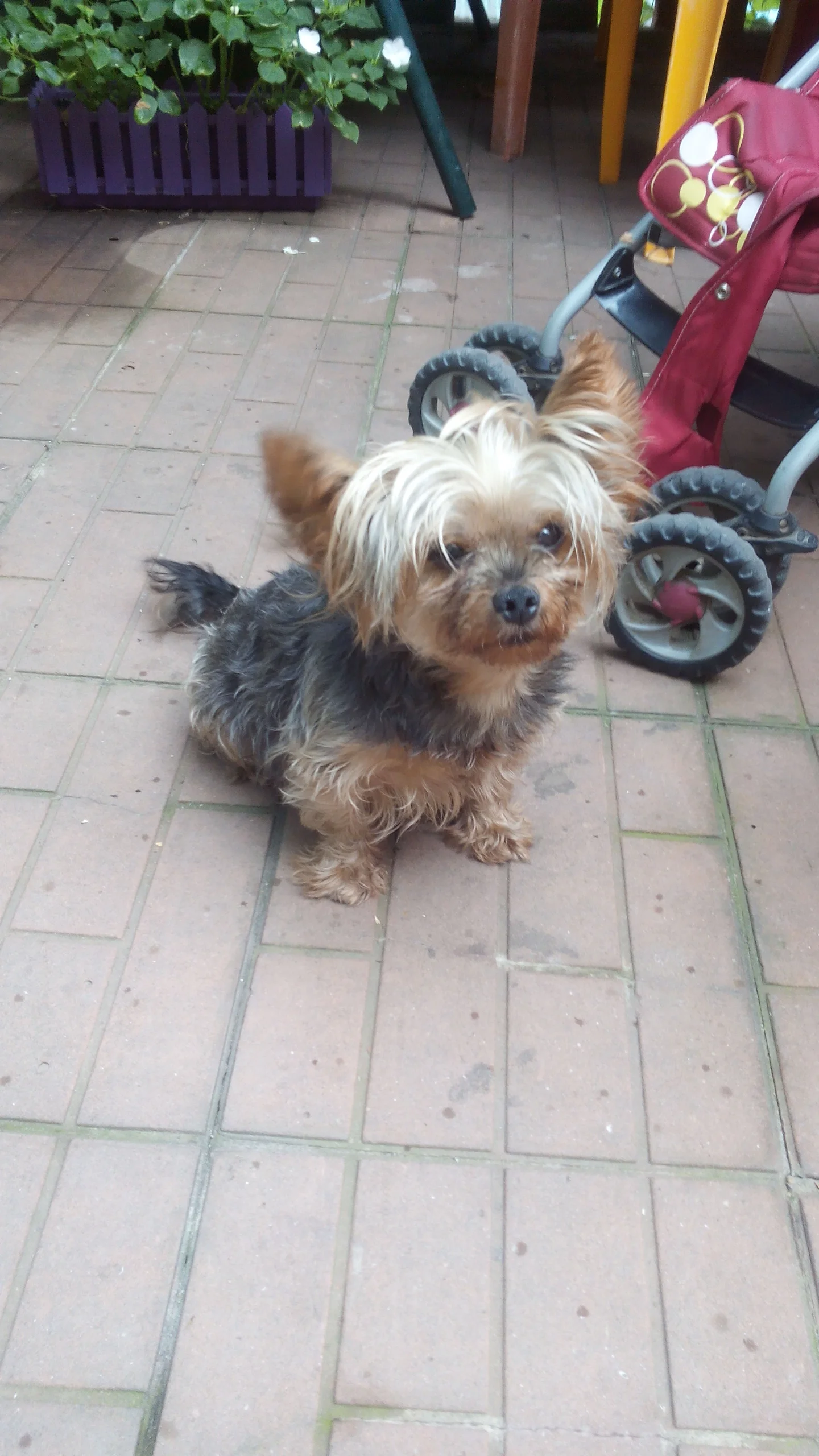 2015-09-08 14-46-32.webp