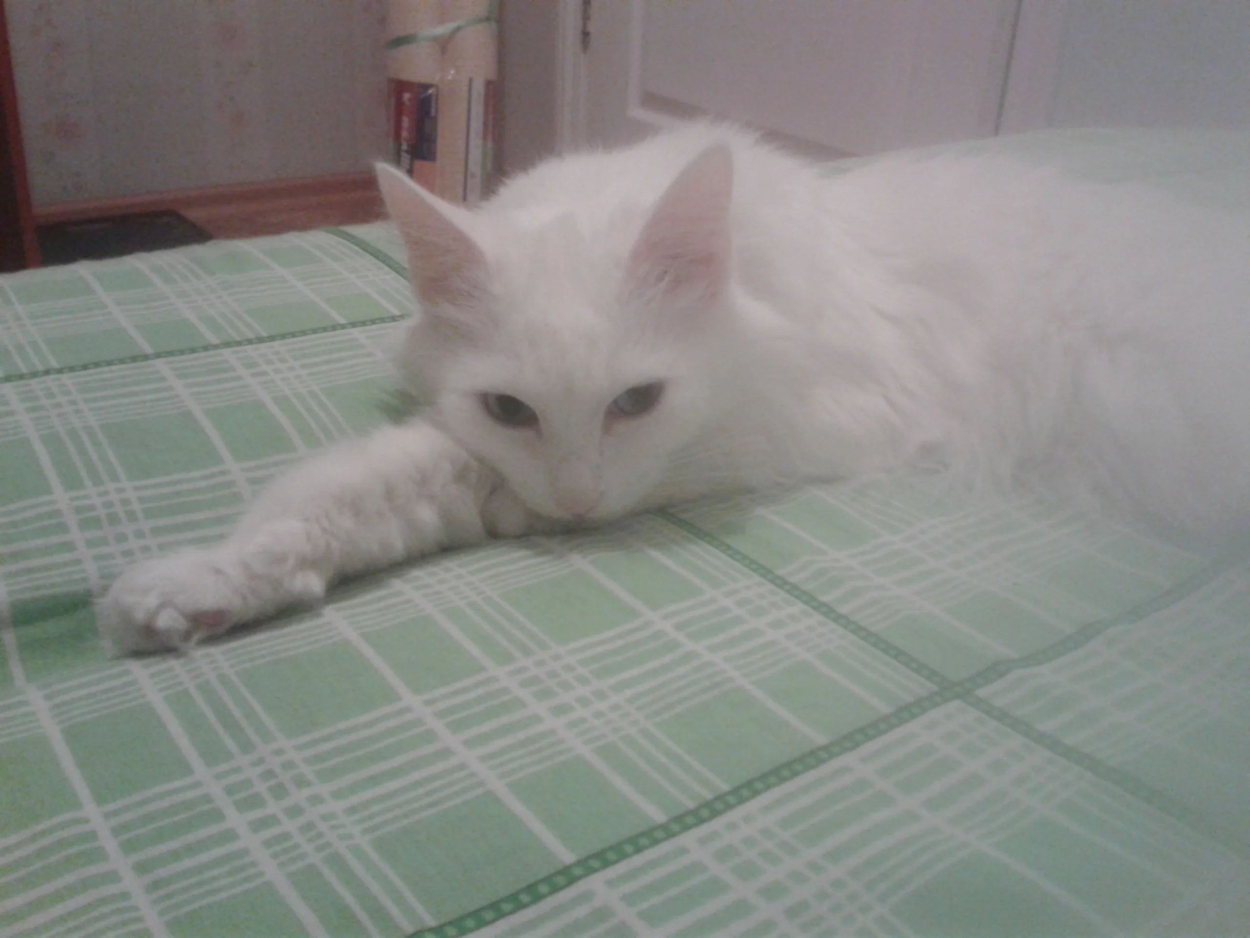 20150128_225729.webp