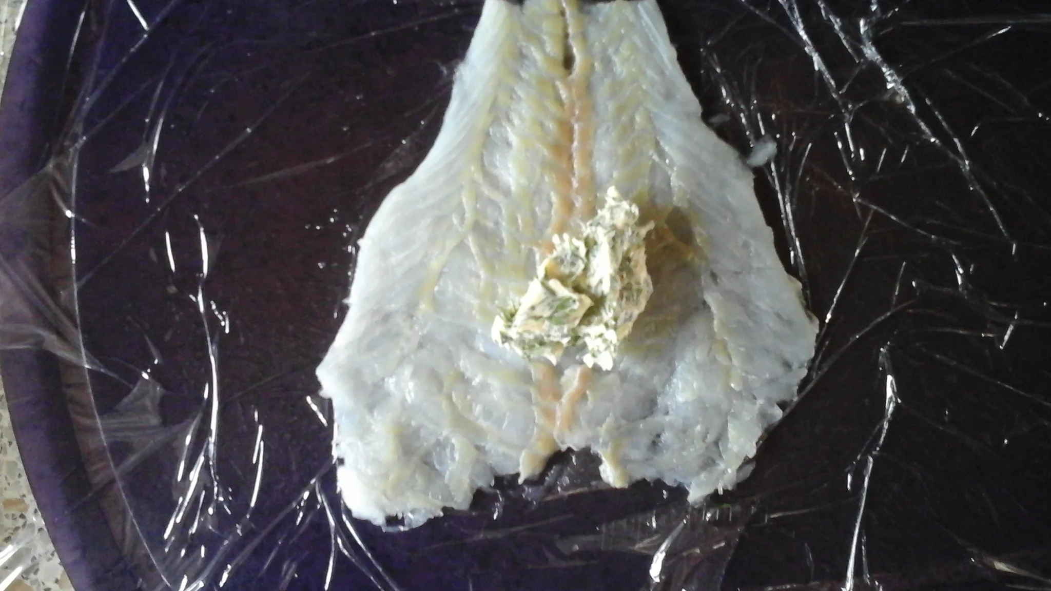 20150302_145816.webp