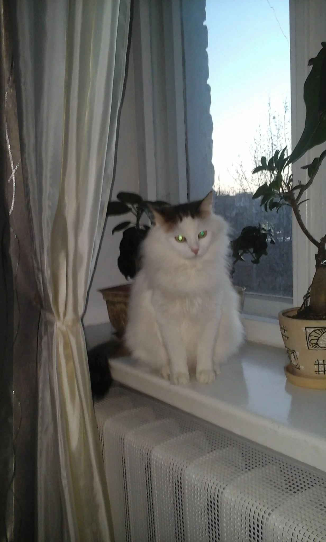 20150310_183353[1].webp