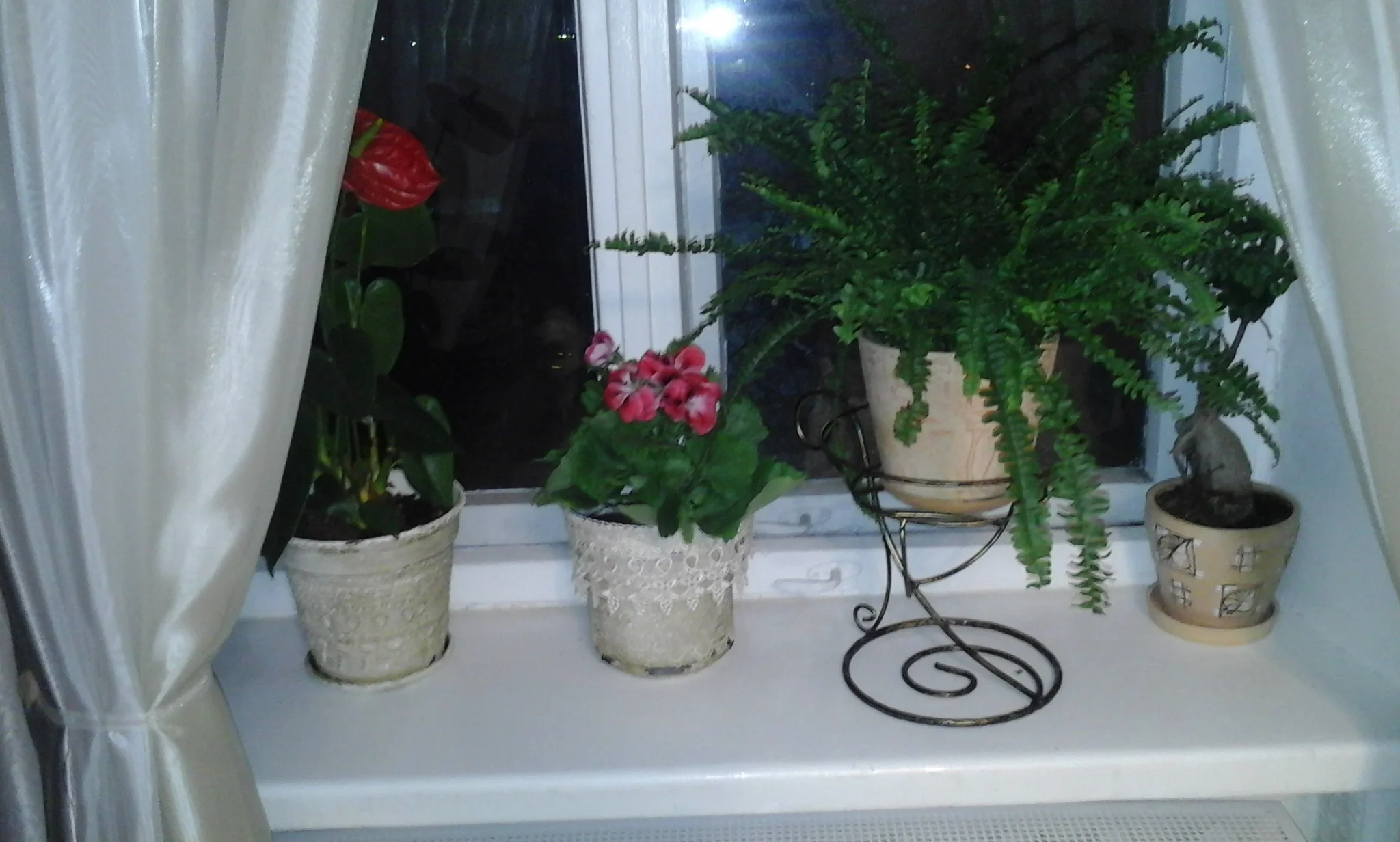 20150402_001754[1].webp