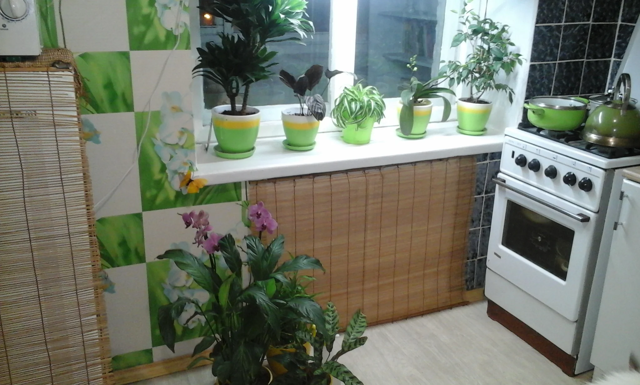 20150402_001920[1].webp