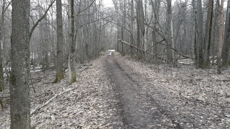 20150418_150727.webp