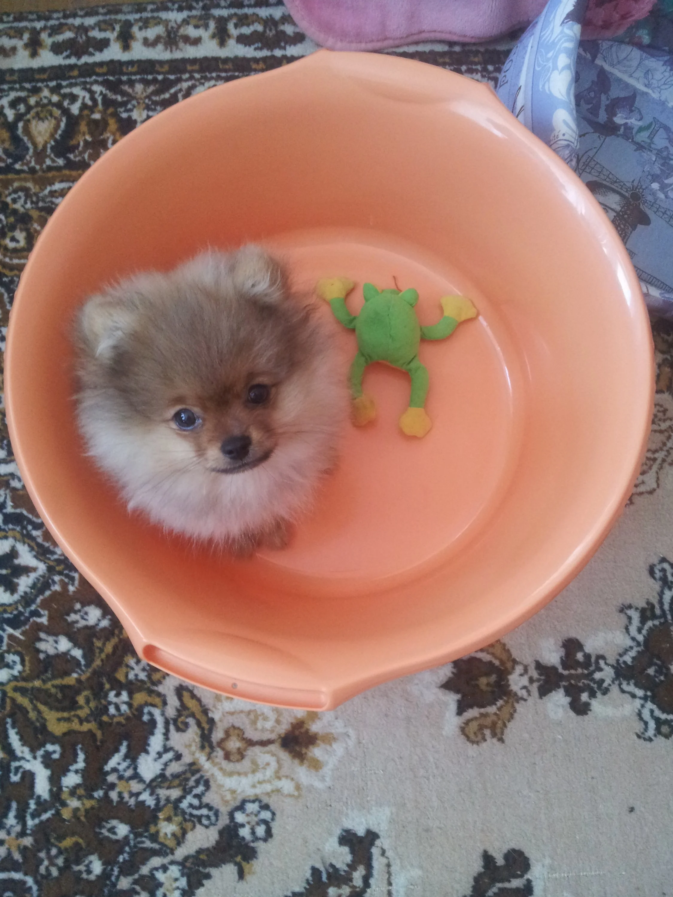 20150430_124032.webp
