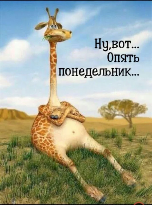 2016-02-16 10.47.05.webp