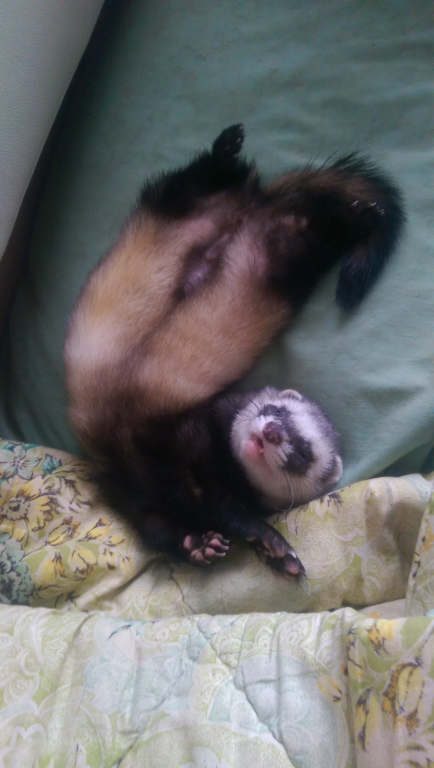 2016-03-13 14-44-11.webp