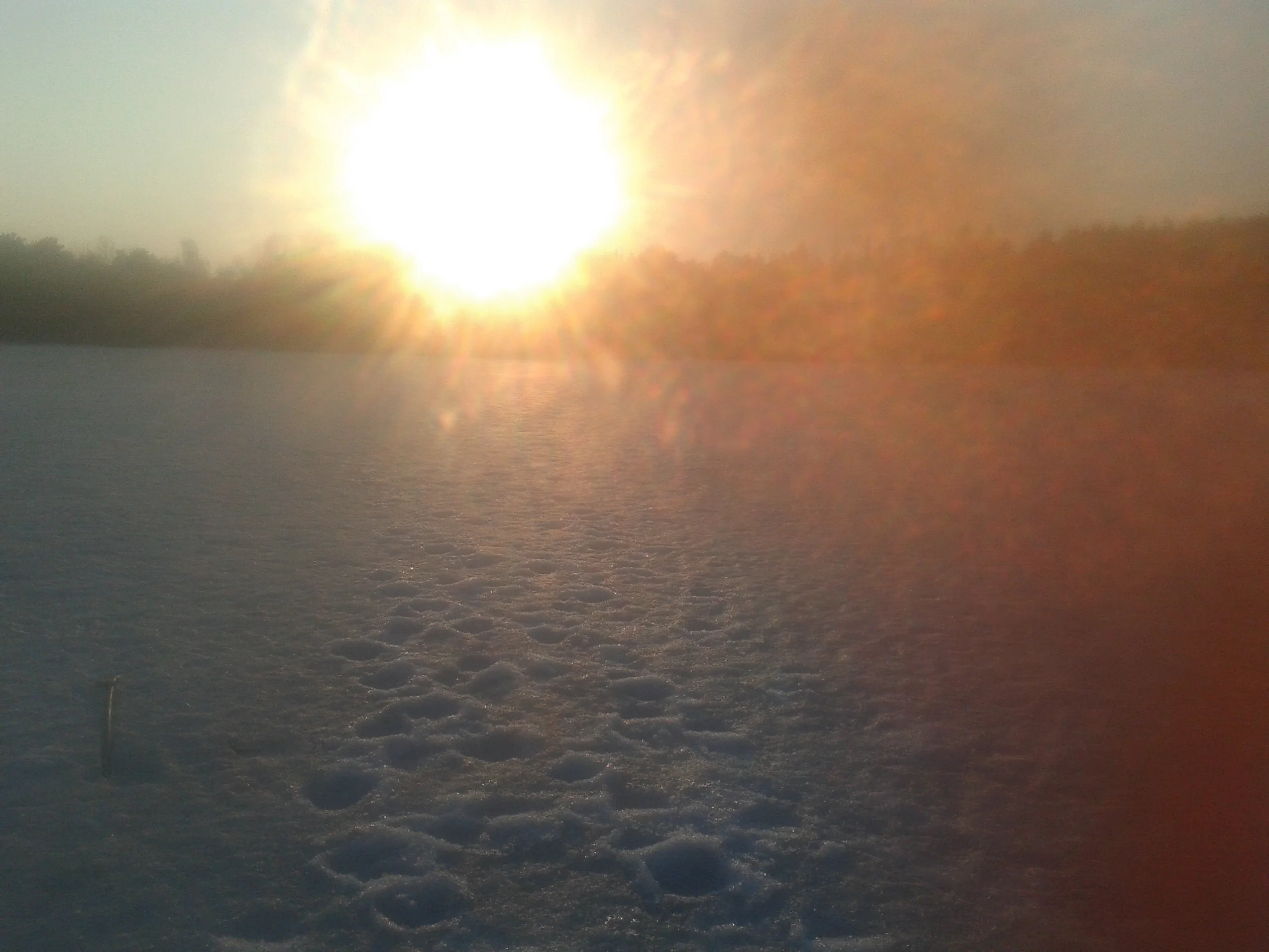 2016-03-30 18.05.57.webp