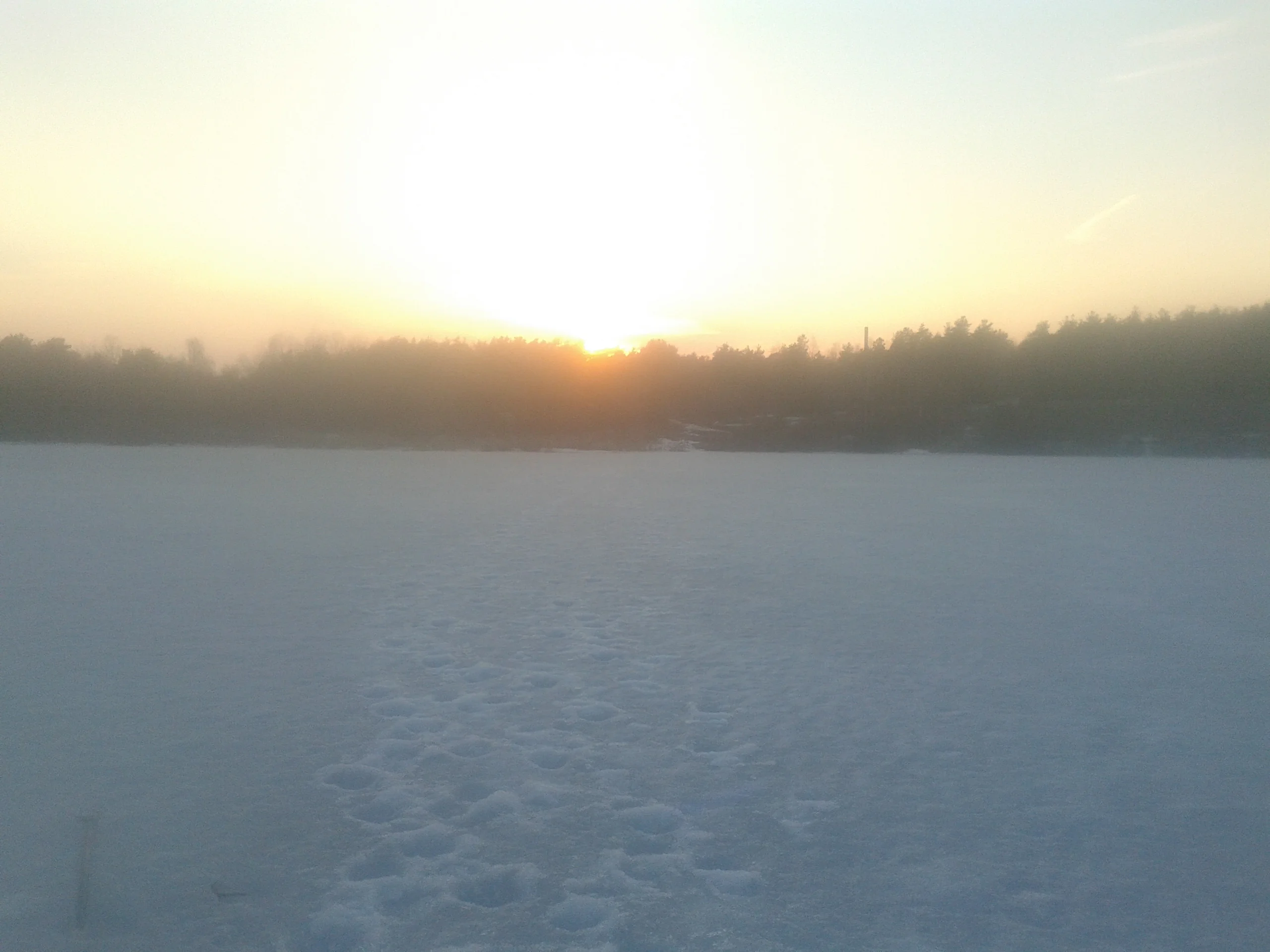 2016-03-30 18.27.00.webp