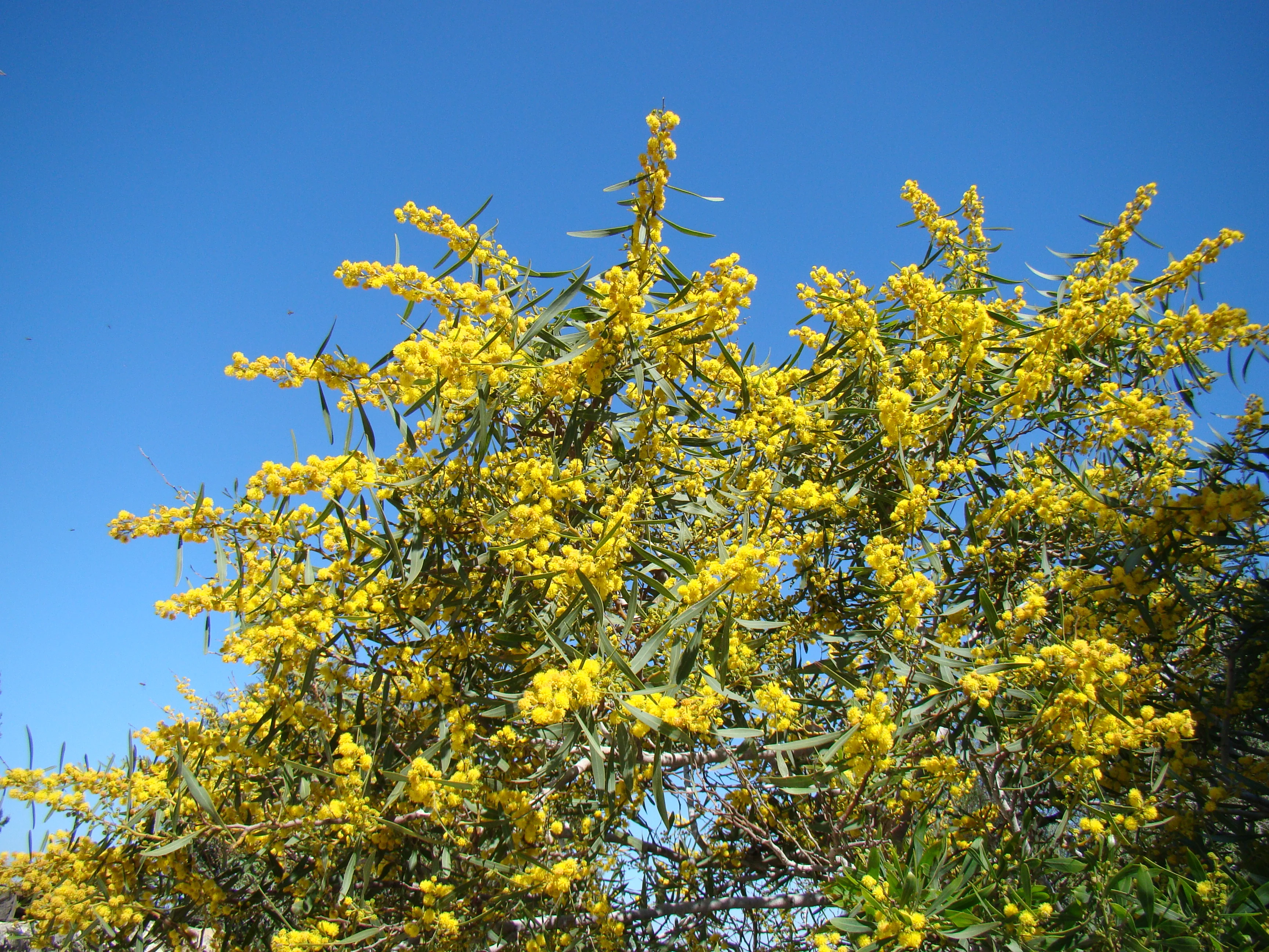 2016-04-01 10-00-00.webp