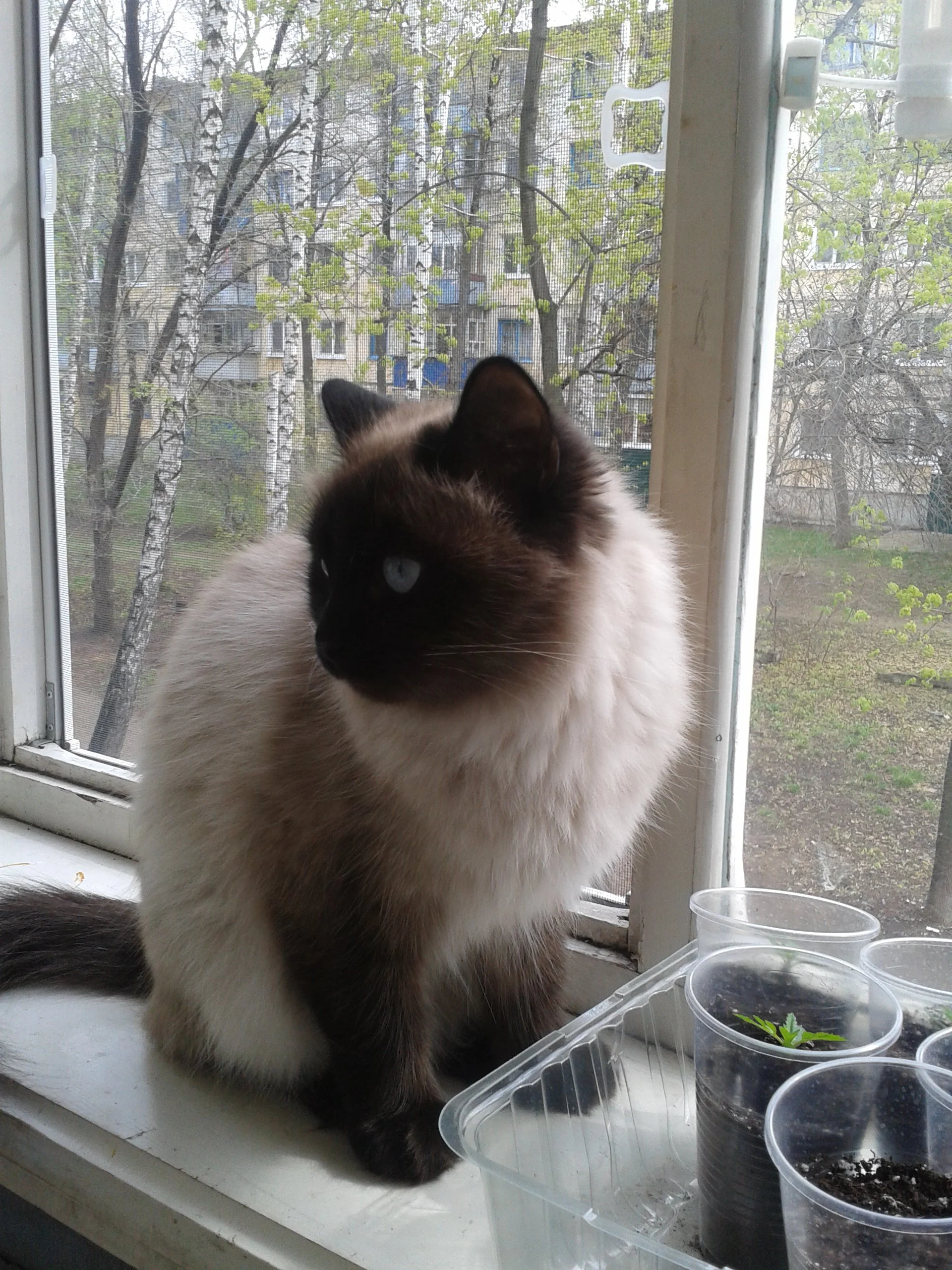 2016-05-02 10.28.49.webp