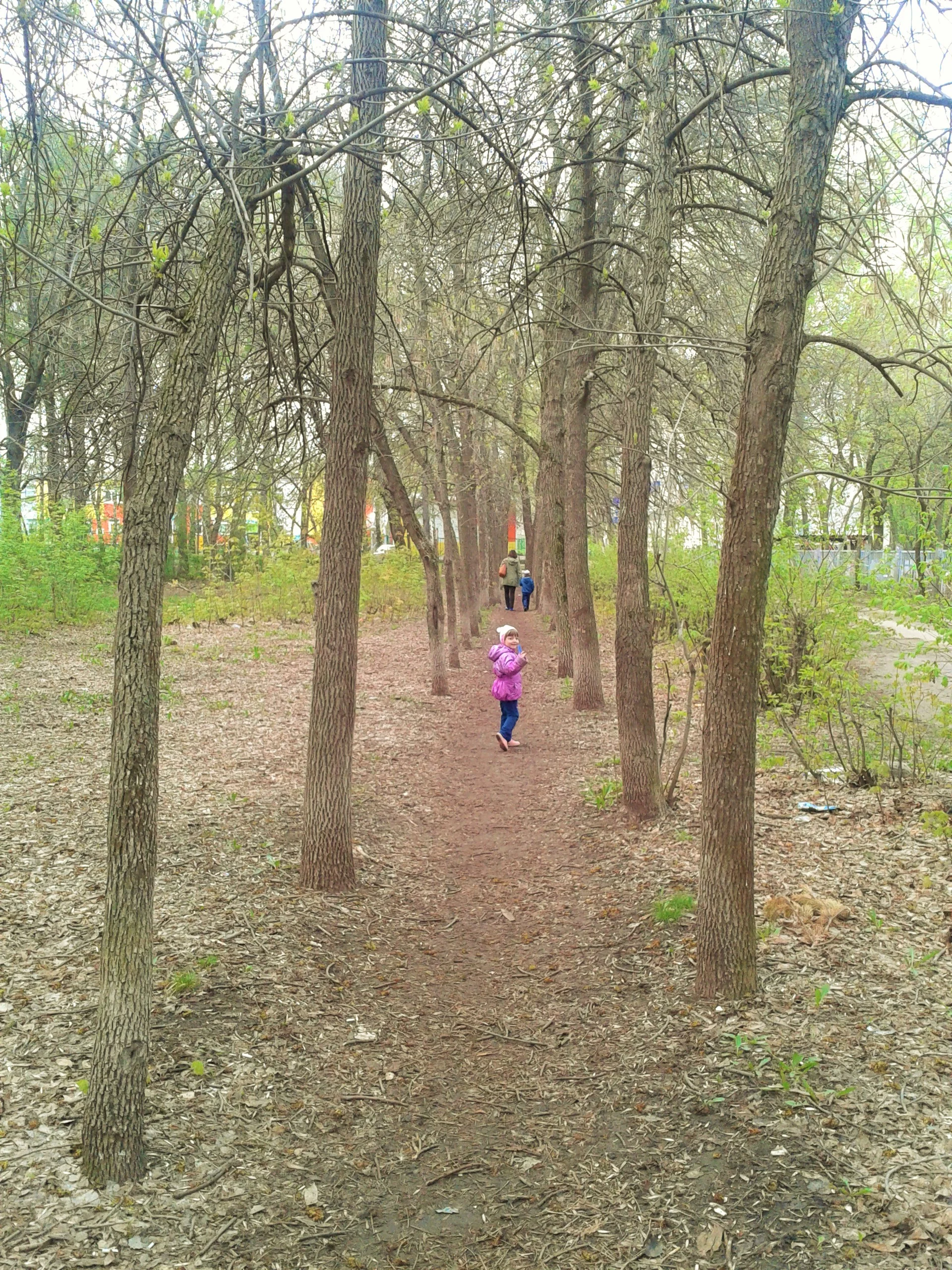 2016-05-05 07.32.41.webp