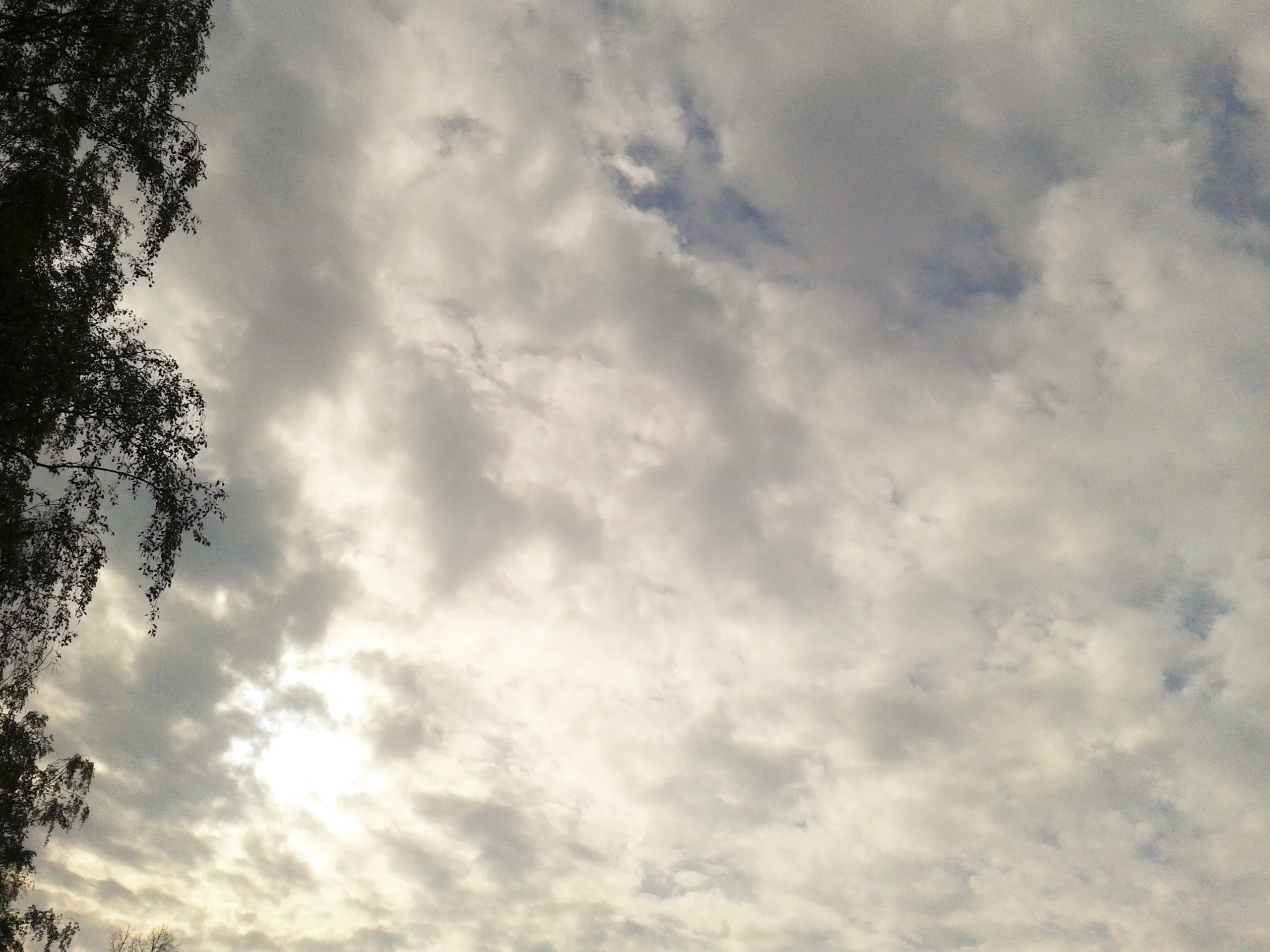 2016-05-05 07.34.44.webp