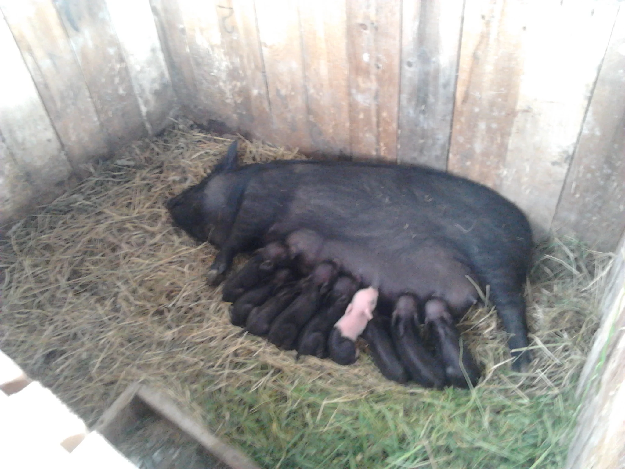 2016-05-06 11.27.24.webp