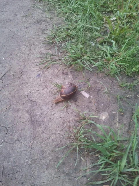 2016-05-18 06.07.39.webp