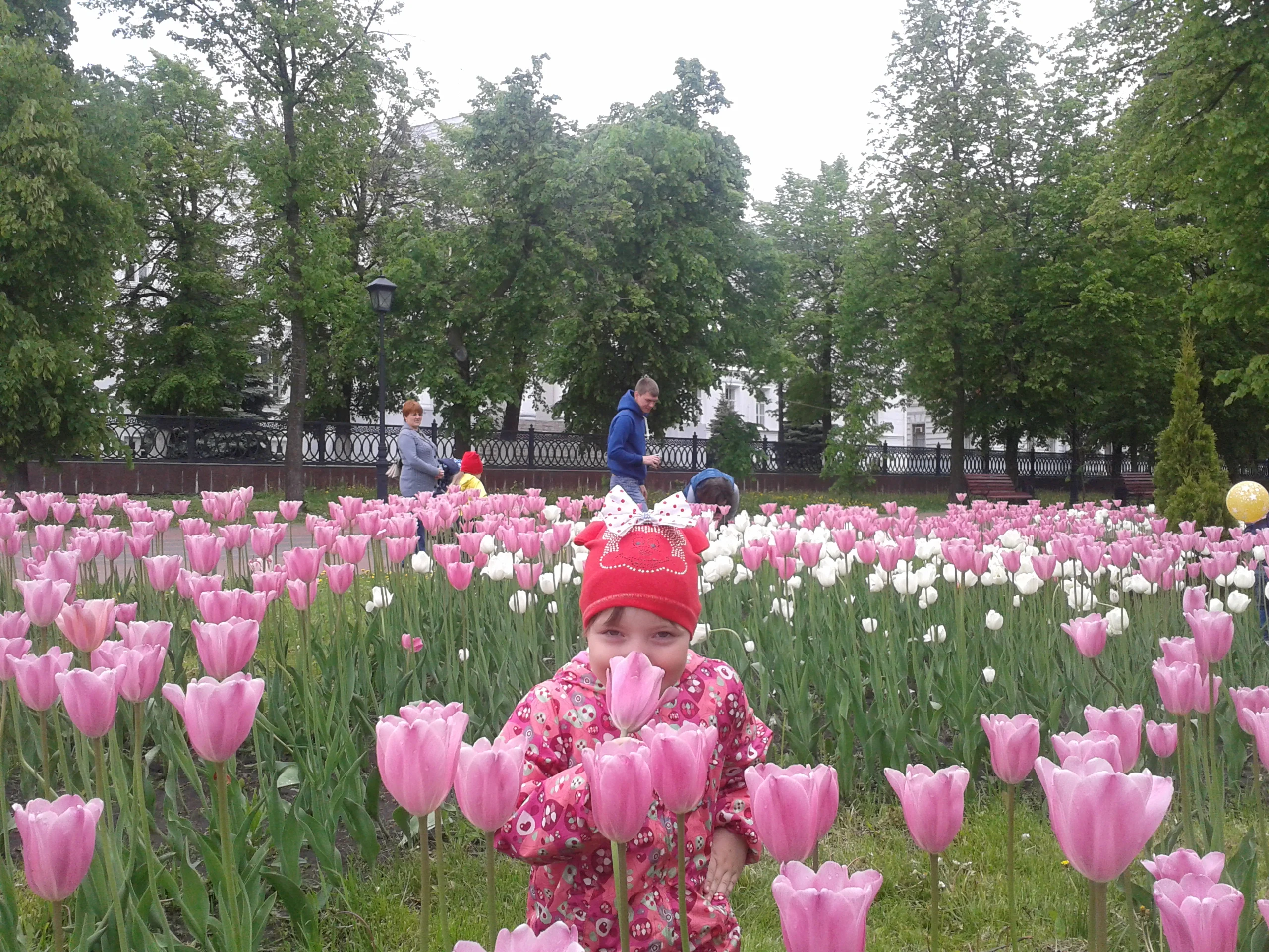 2016-05-22 11.58.08.webp