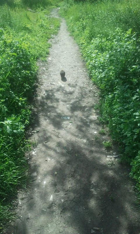 2016-06-07 16.08.25.webp