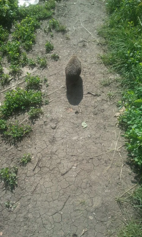 2016-06-07 16.08.38.webp