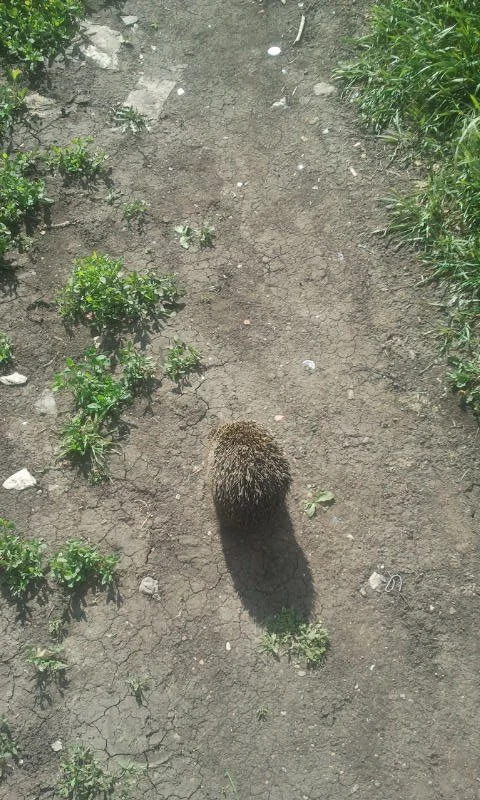 2016-06-07 16.08.54.webp