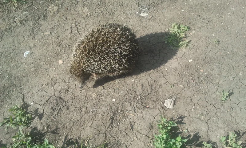 2016-06-07 16.09.04.webp