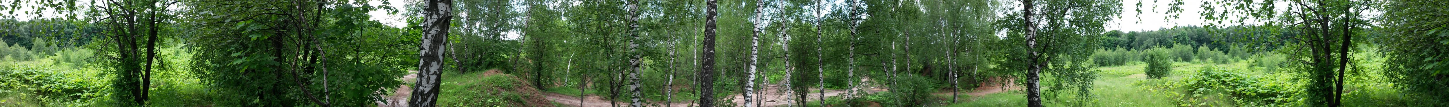 2016-06-19 16-01-31.webp