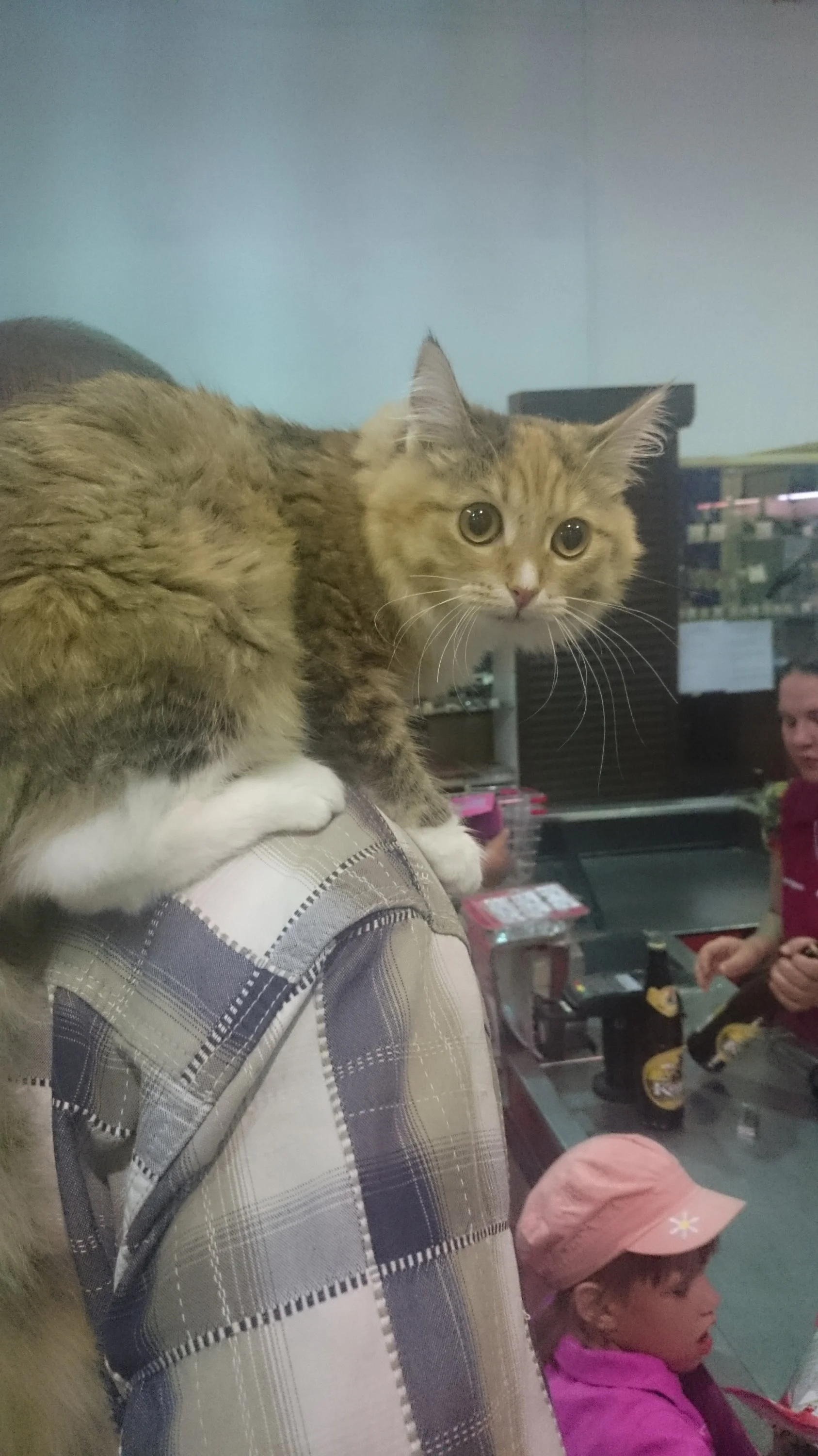 2016-06-19 19-06-43.webp