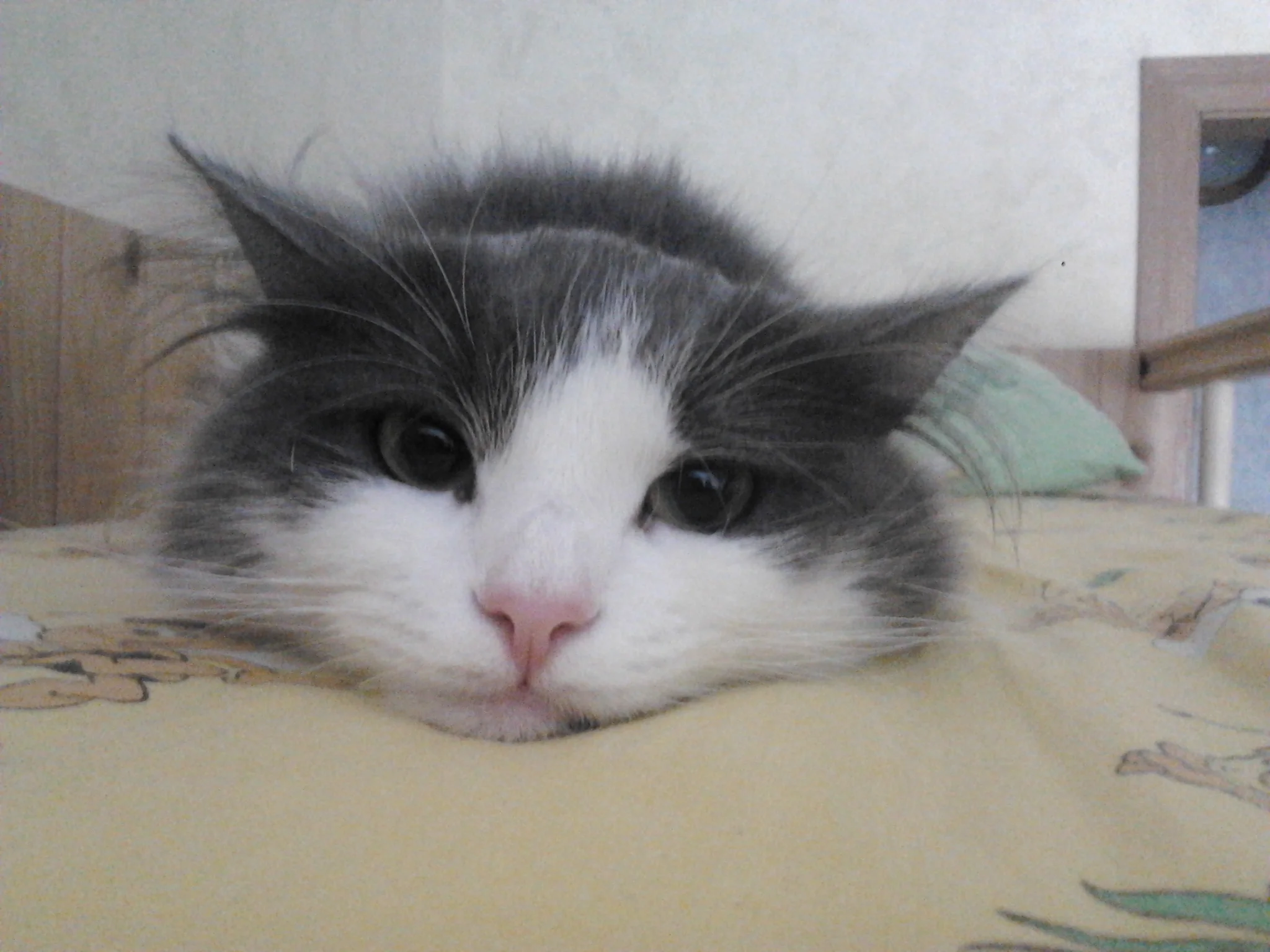 2016-06-22 15.54.09.webp