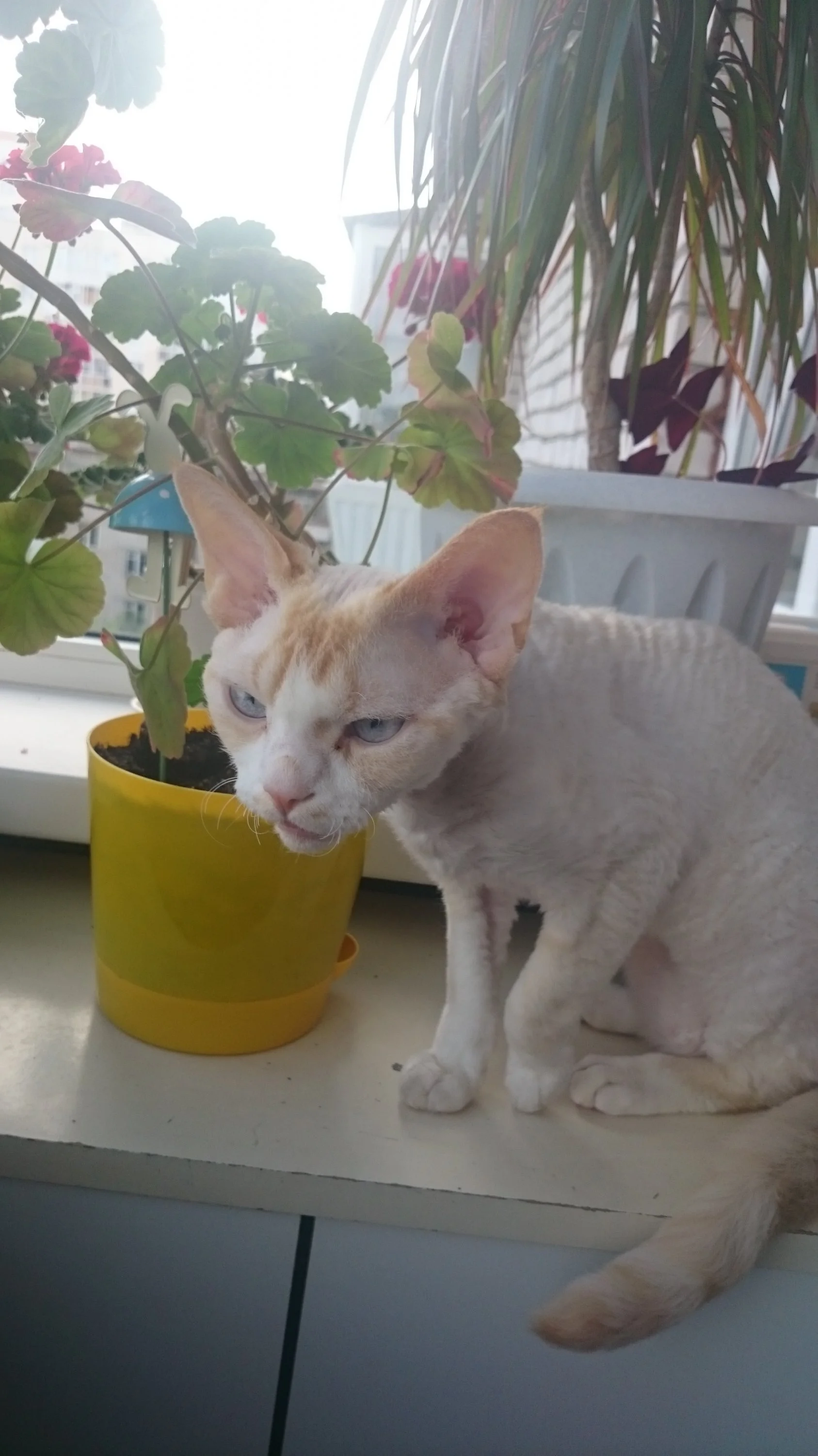 2016-06-25 09-50-08.webp