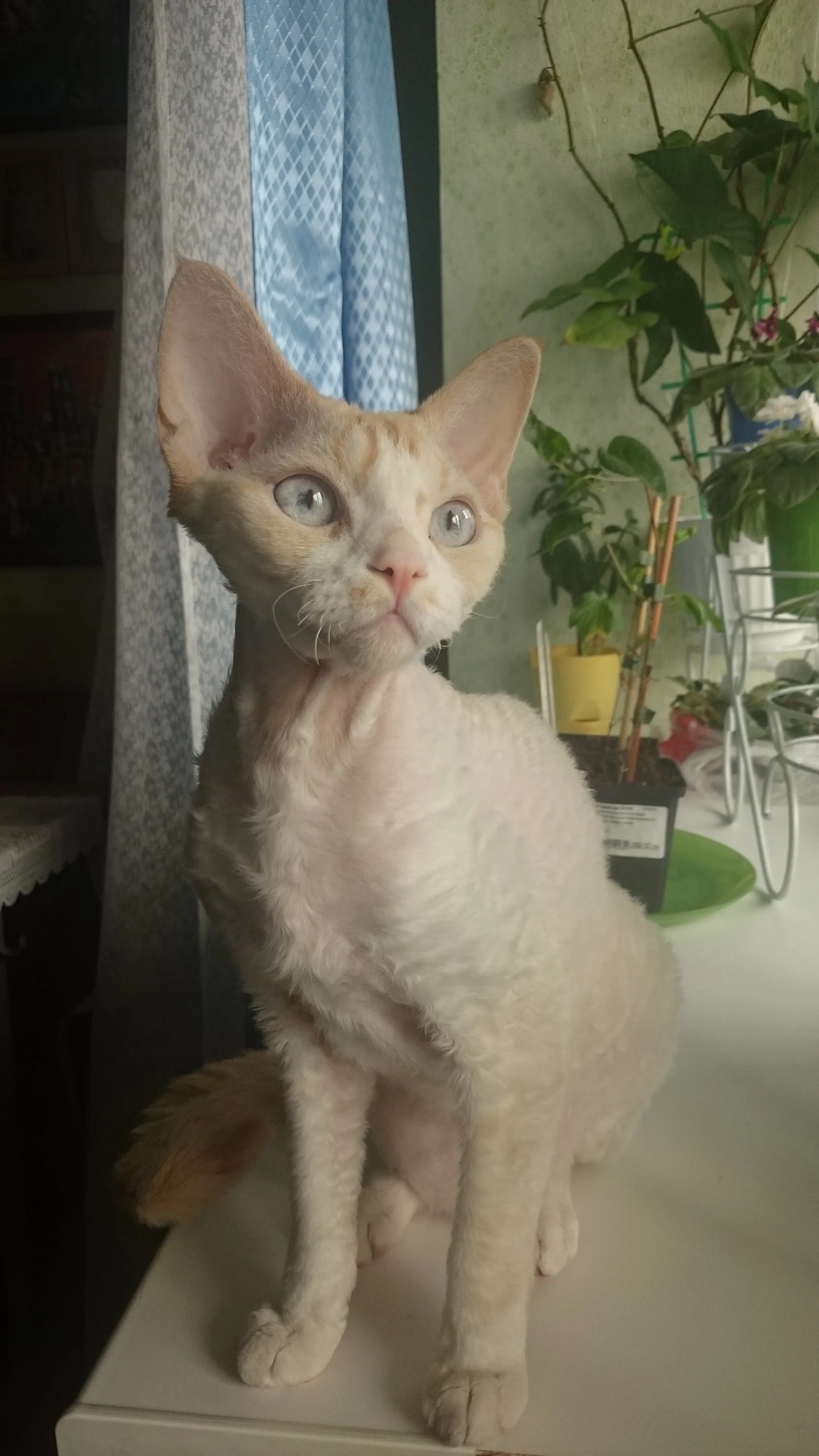 2016-06-25 10-04-19.webp