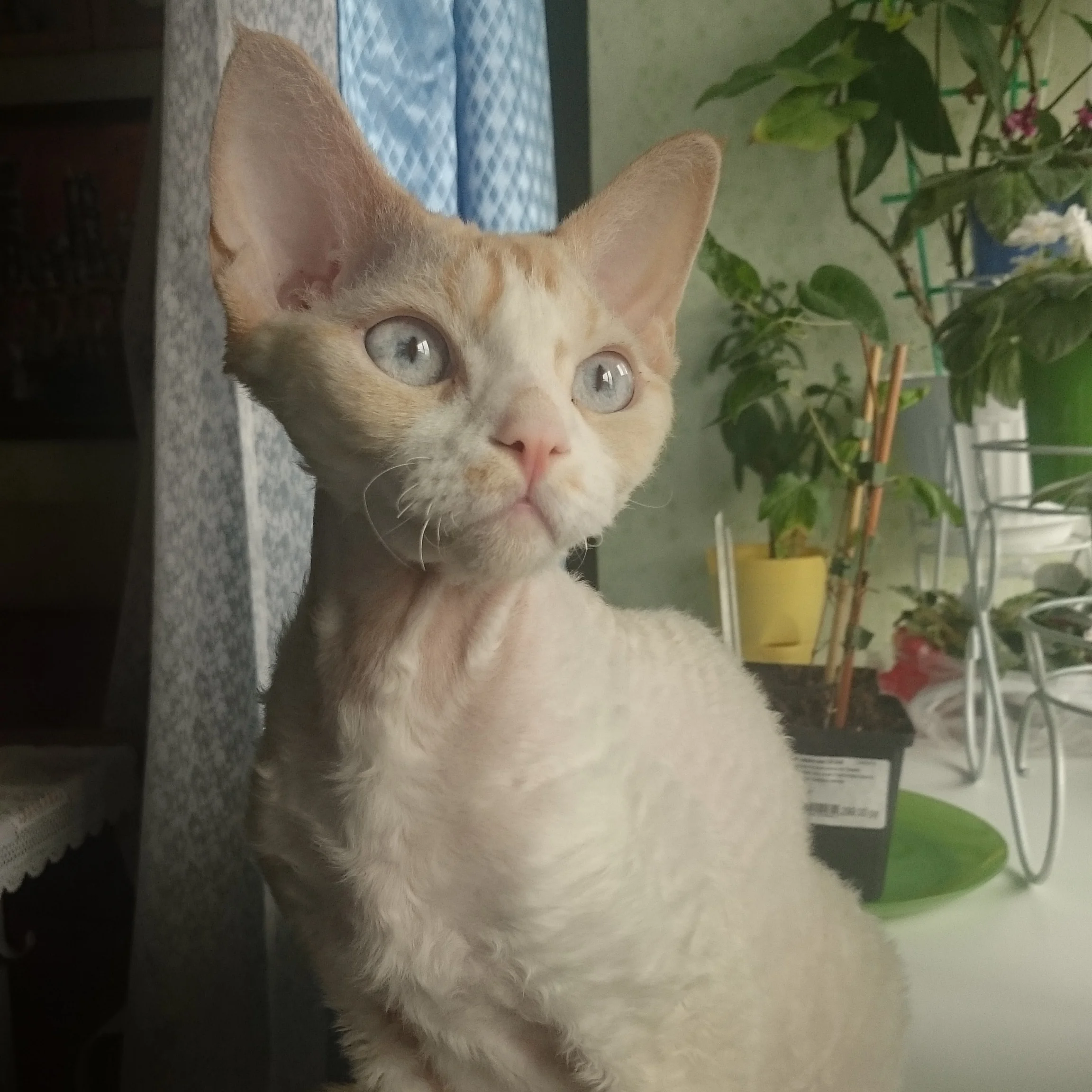 2016-06-25 10-06-18.webp