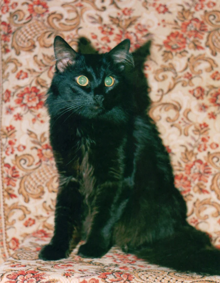 2016-07-09_174714 (1).webp