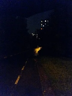 2016-08-14 21-00-34.webp