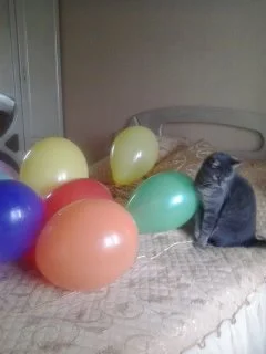 2016-08-21 13.19.35.webp