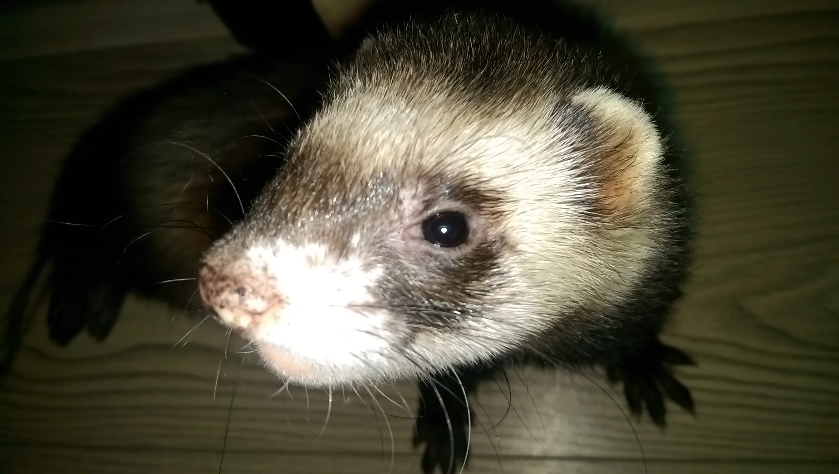 2016-08-29 17-28-37.webp