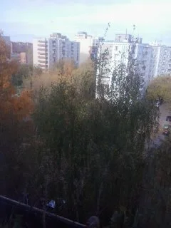 2016-10-02 10.20.47.webp