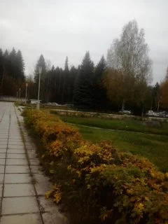 2016-10-11 17.18.36.webp