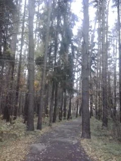 2016-10-11 17.30.46.webp