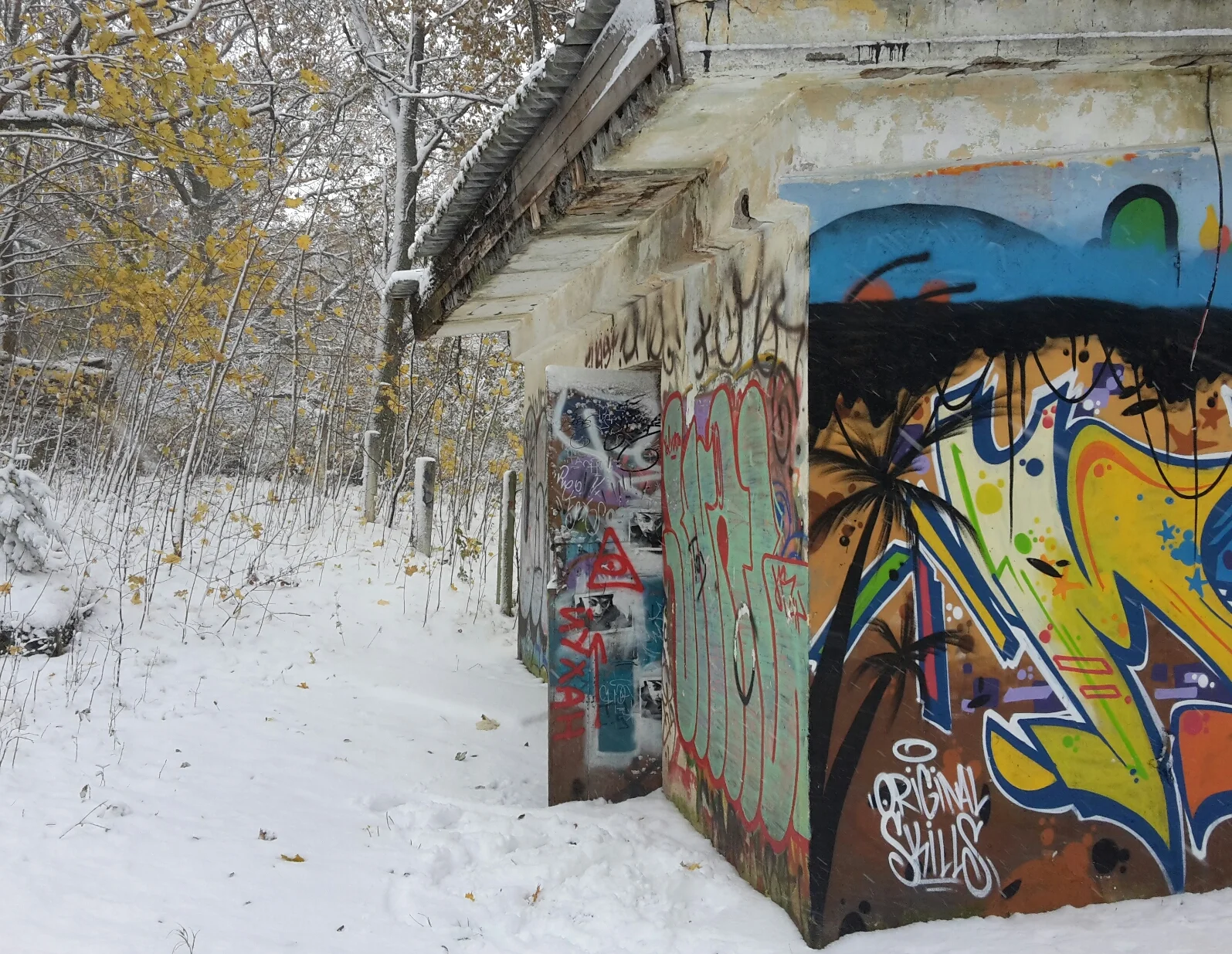 2016-11-03 11.41.32.webp